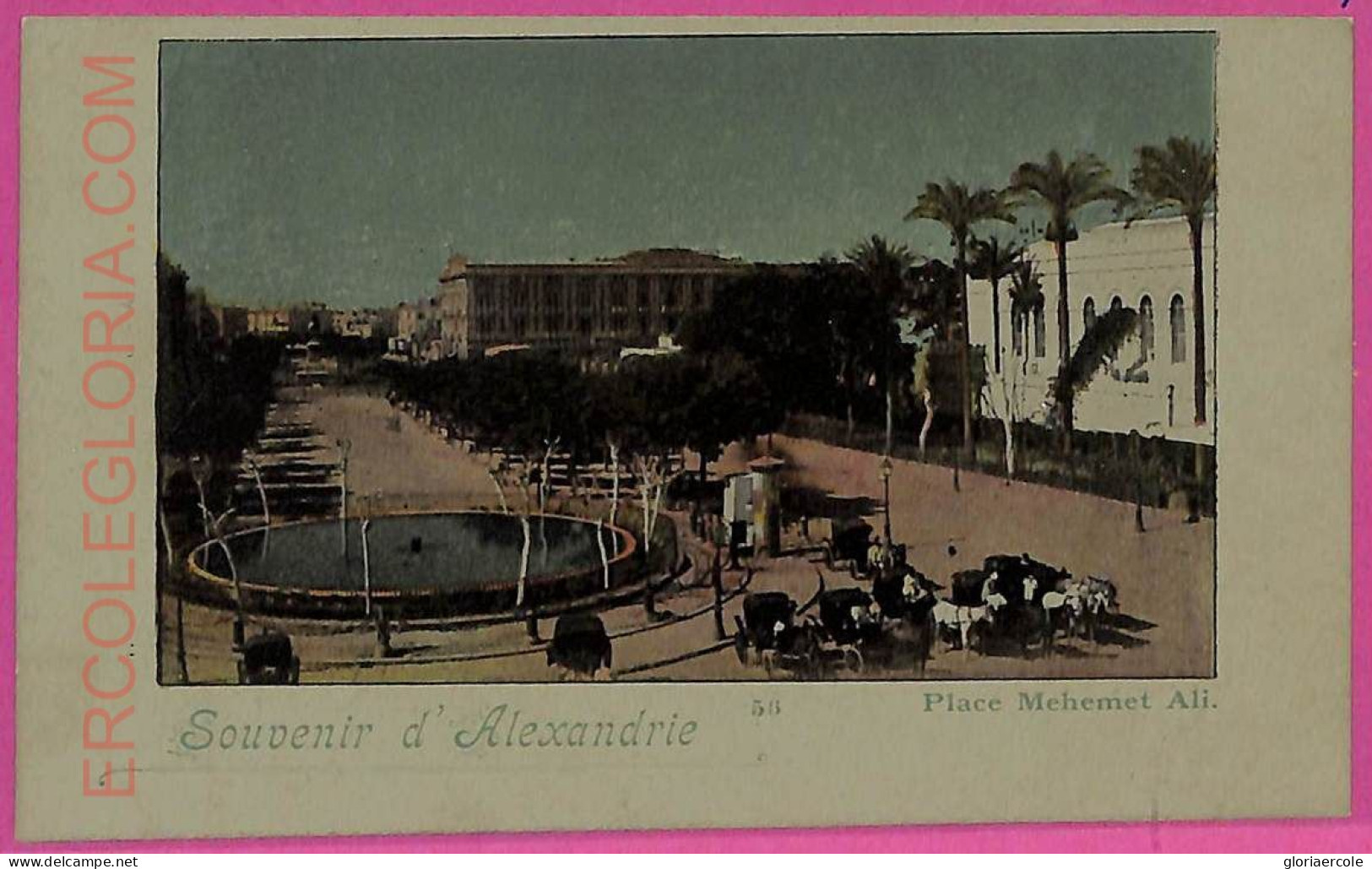 Ag2824 - EGYPT - VINTAGE POSTCARD - Alexandrie - Alexandria