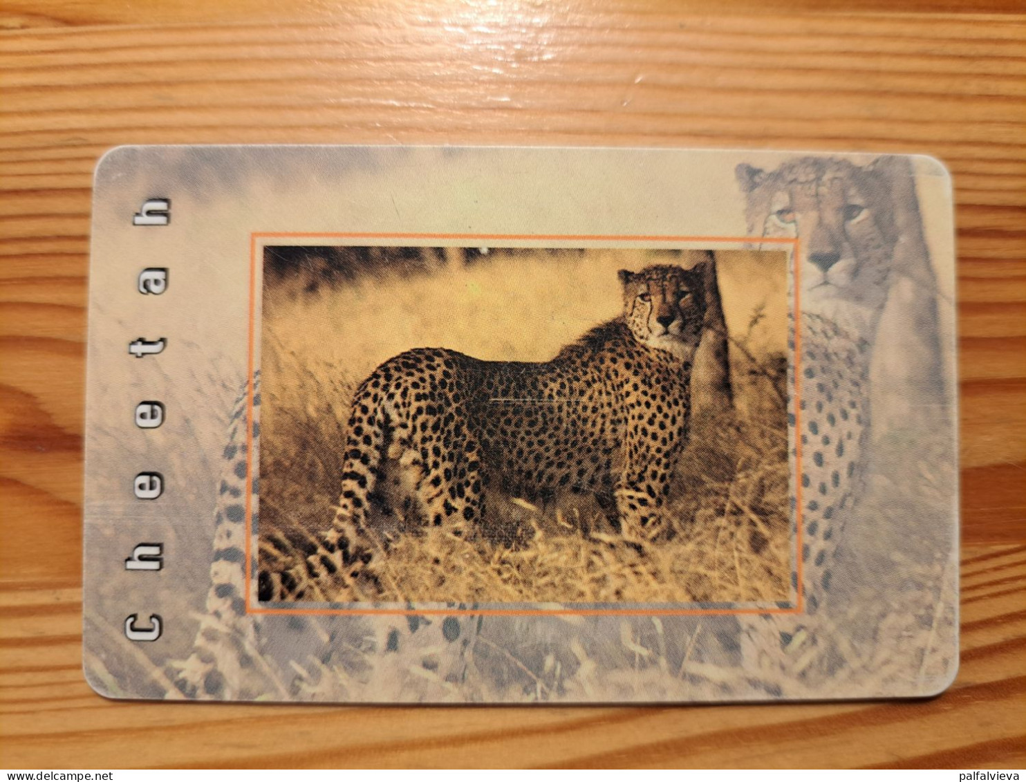 Phonecard South Africa, MTN - Cheetah - South Africa