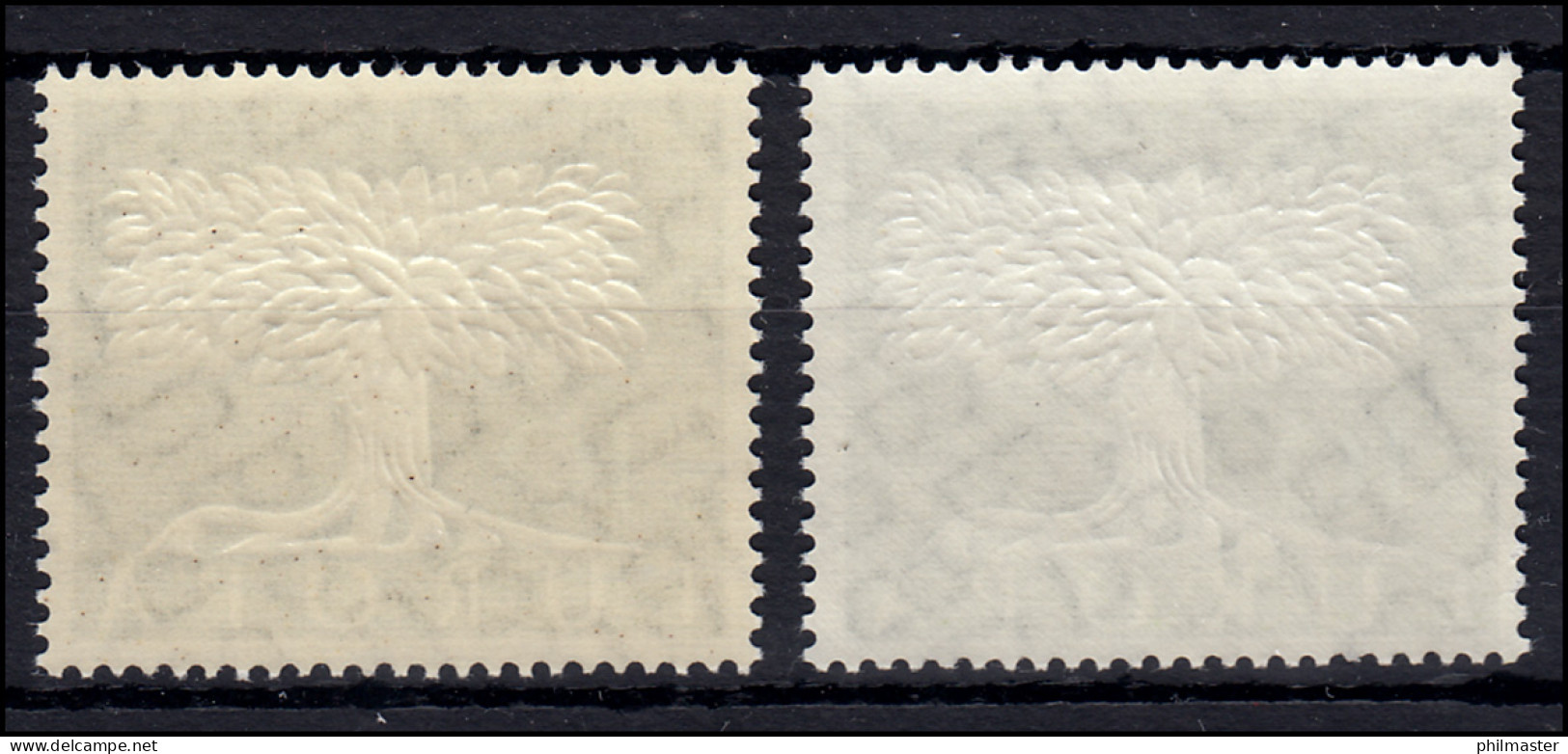 294 Europa 1958 Mit Wasserzeichen 5 - Gummierungs-Set Gelblich Und Weiß ** - Ungebraucht