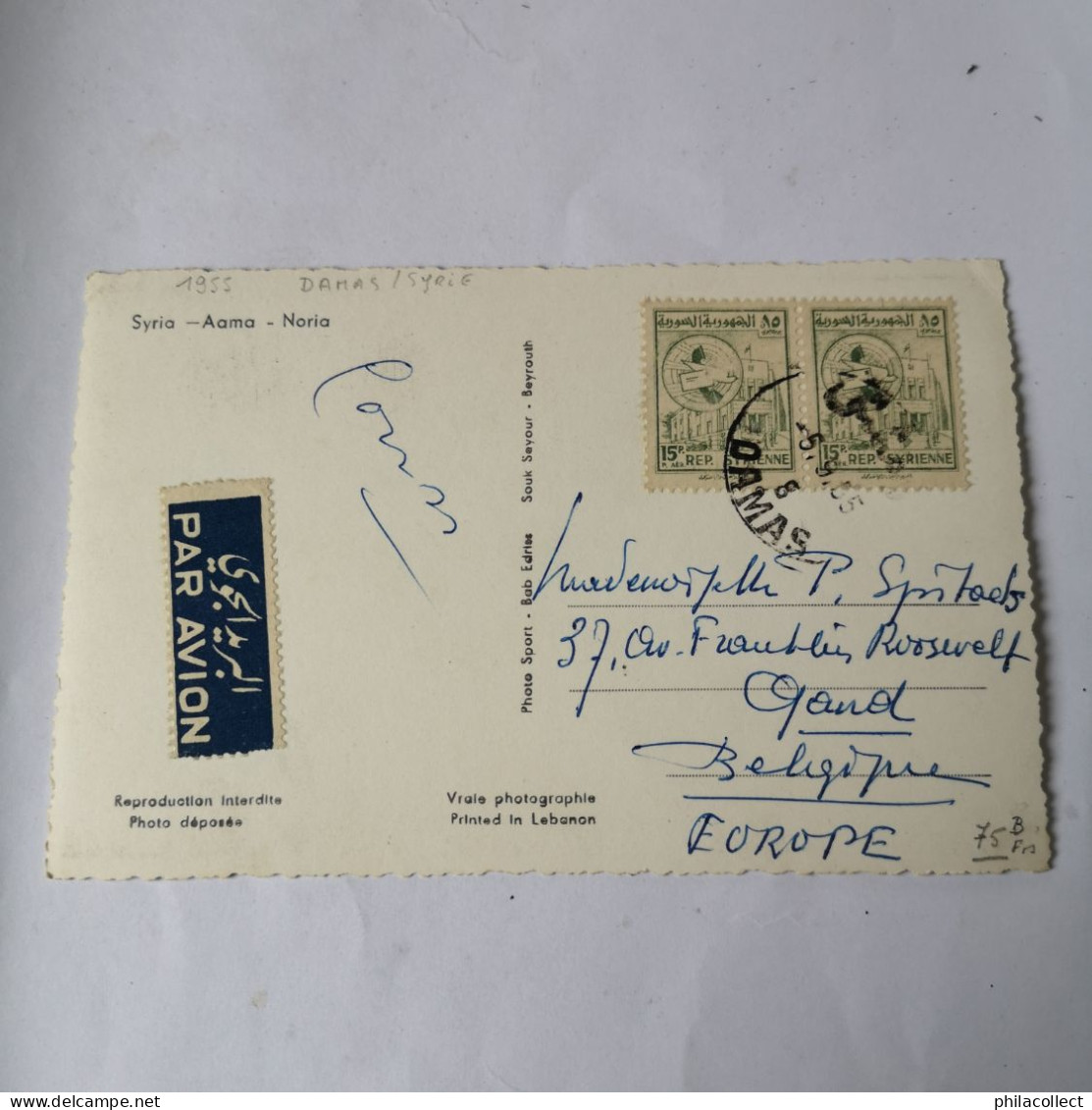 Syrië - Syrië // Aama - Noria 1955? With Stamps - Syrien