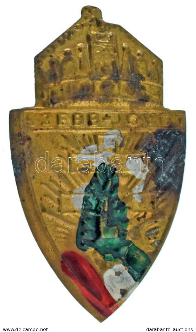 ~1940. "Szebb Jövőt" Tombak Levente Lemez Sapkajelvény, Részben Festett (56x32mm) T:XF,VF Patina - Unclassified