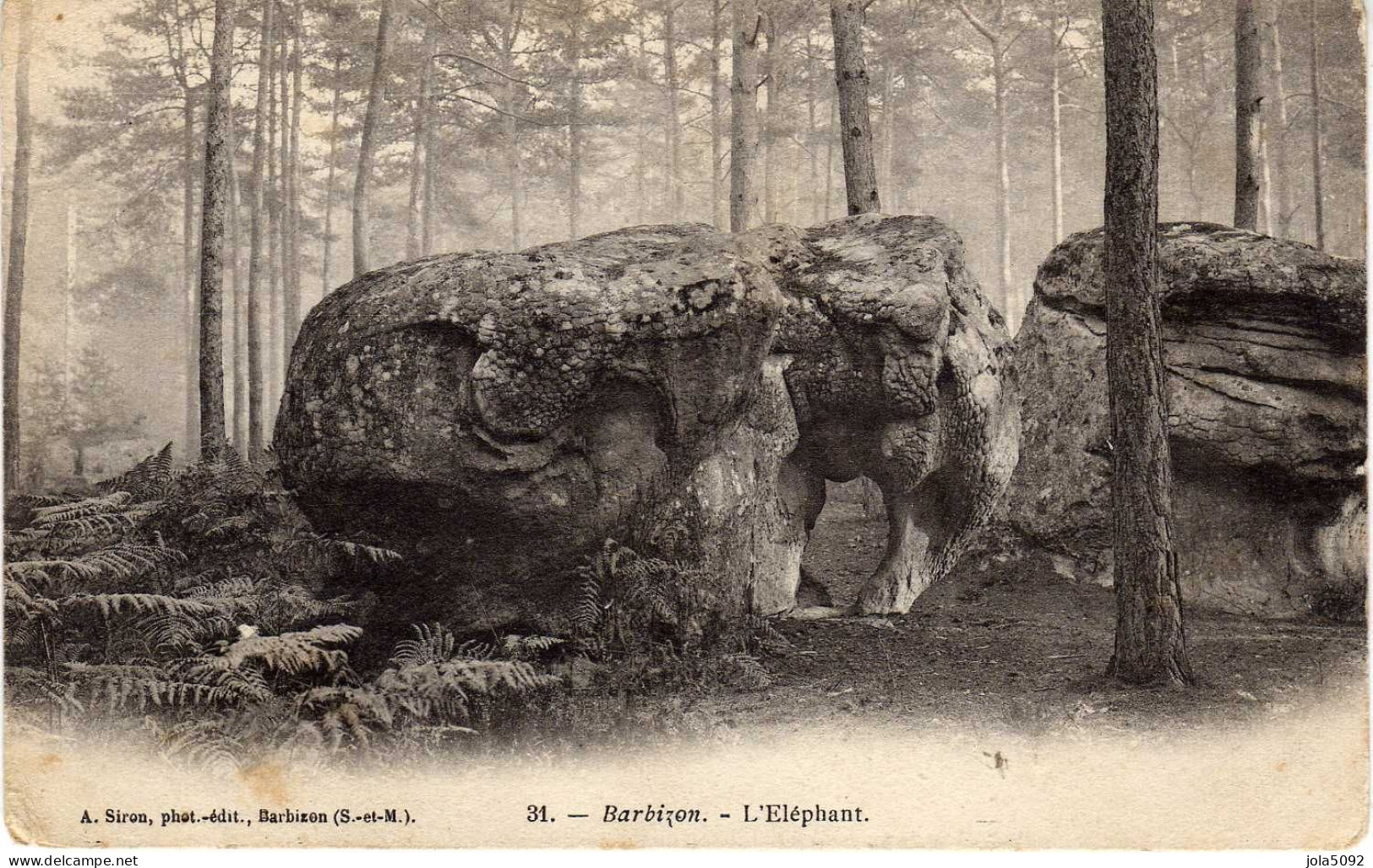 77 - Forêt De FONTAINEBLEAU - BARBIZON - L'Éléphant - Fontainebleau