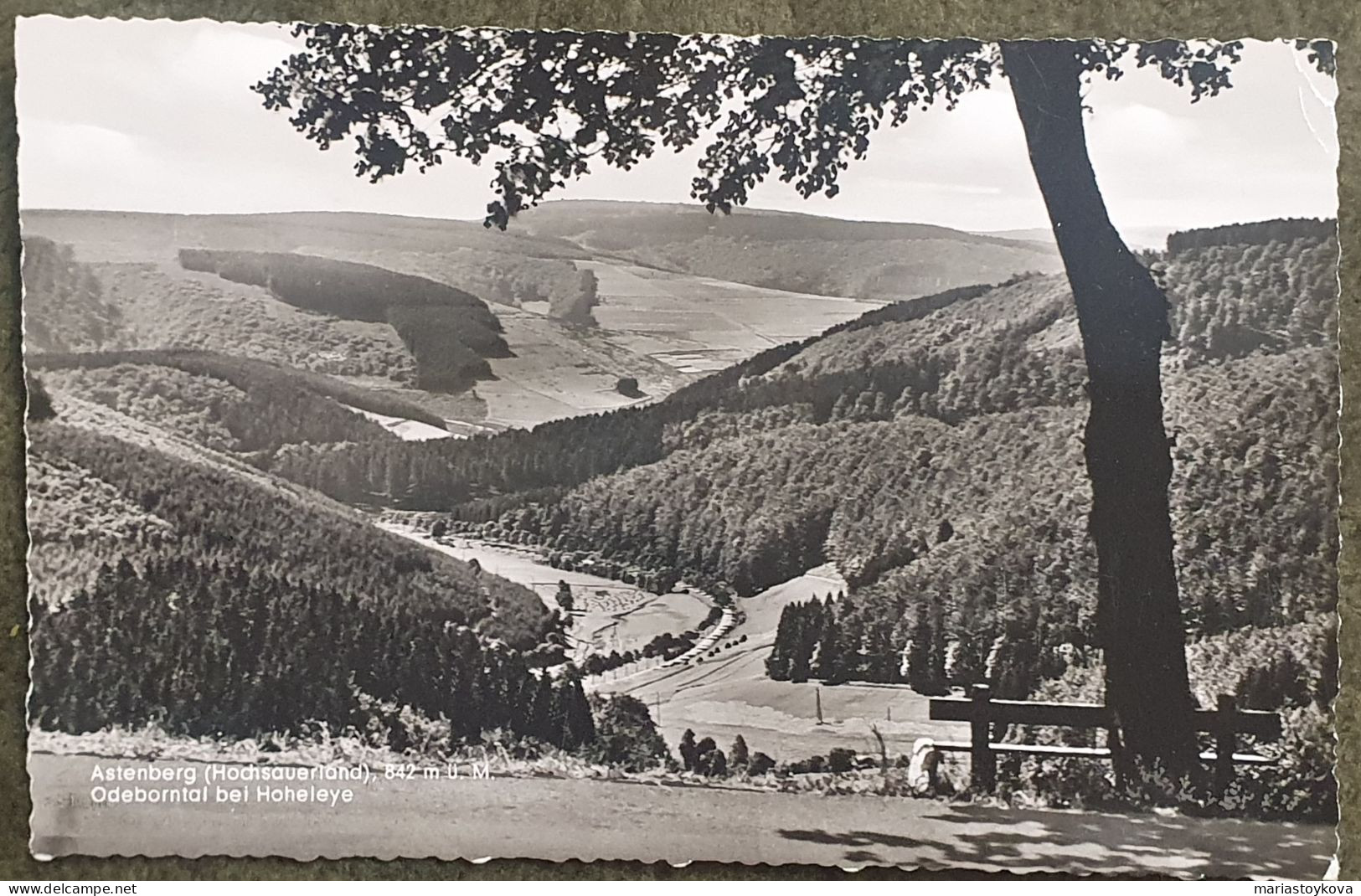 1956. Astenberg -Hochsauerland. Odeborntal Zwischen Langewiese U. Hoheleye - Winterberg