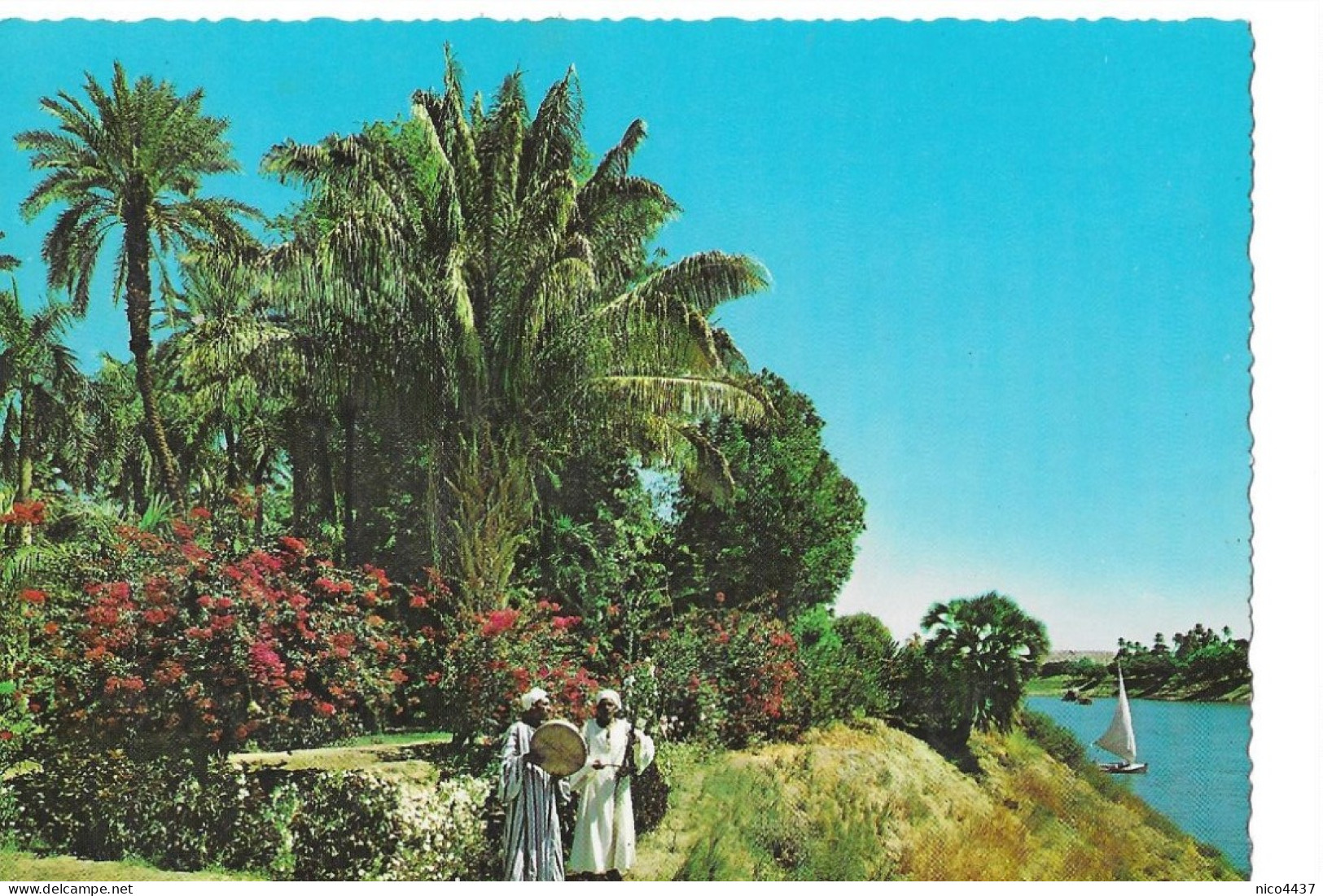 Cpm Assouan Le Jardin Tropical - Asuán