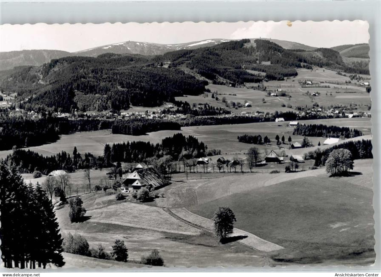 51660205 - Hinterzarten - Hinterzarten