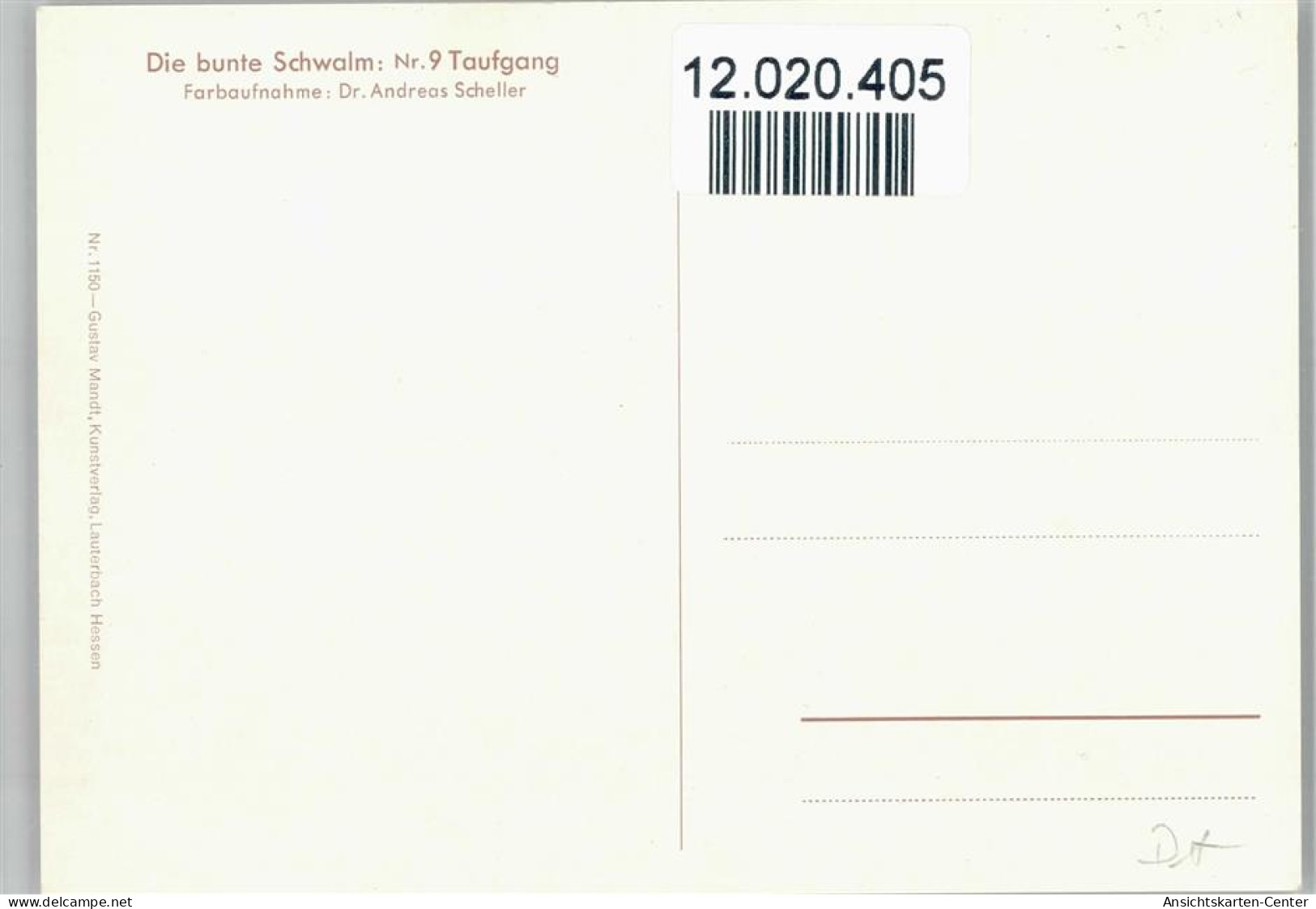 12020405 - Trachten Schwaelmer Die Bunte Schwalm - Nr. 9 - Vestuarios