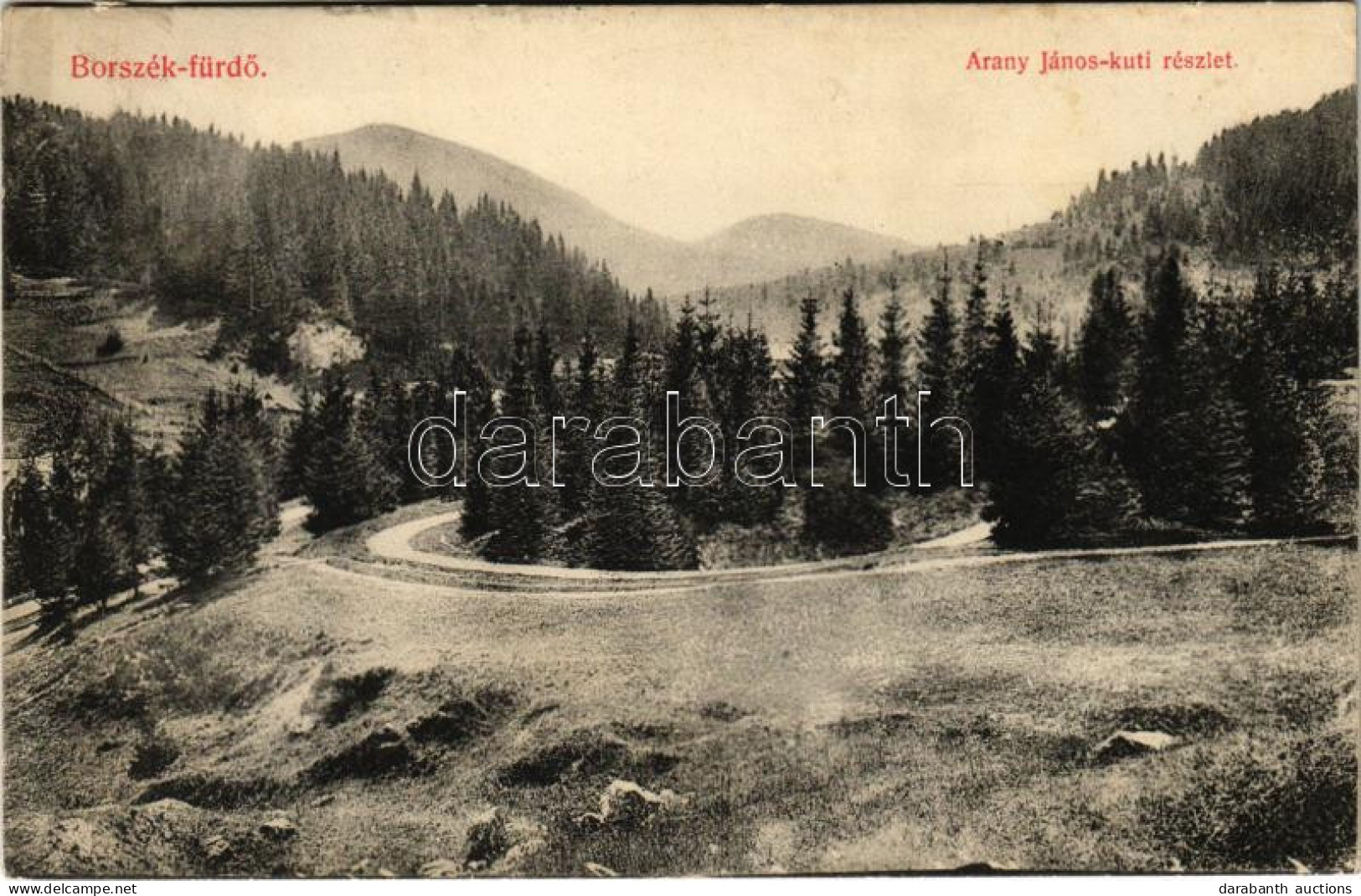 T2/T3 1914 Borszék-fürdő, Baile Borsec; Arany János Kúti Részlet / Road (aprócska Szakadás / Tiny Tear) - Non Classificati