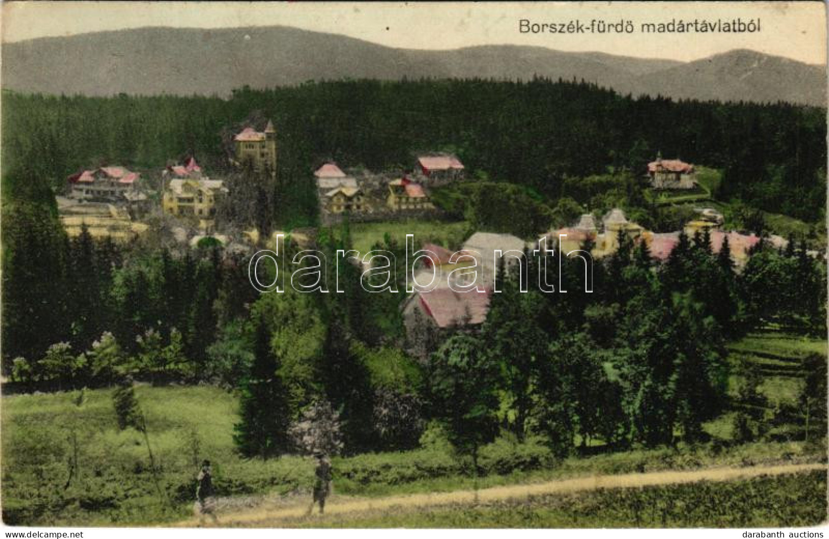 T2/T3 1915 Borszék-fürdő, Baile Borsec; Madártávlatból / Villas (EK) - Non Classificati