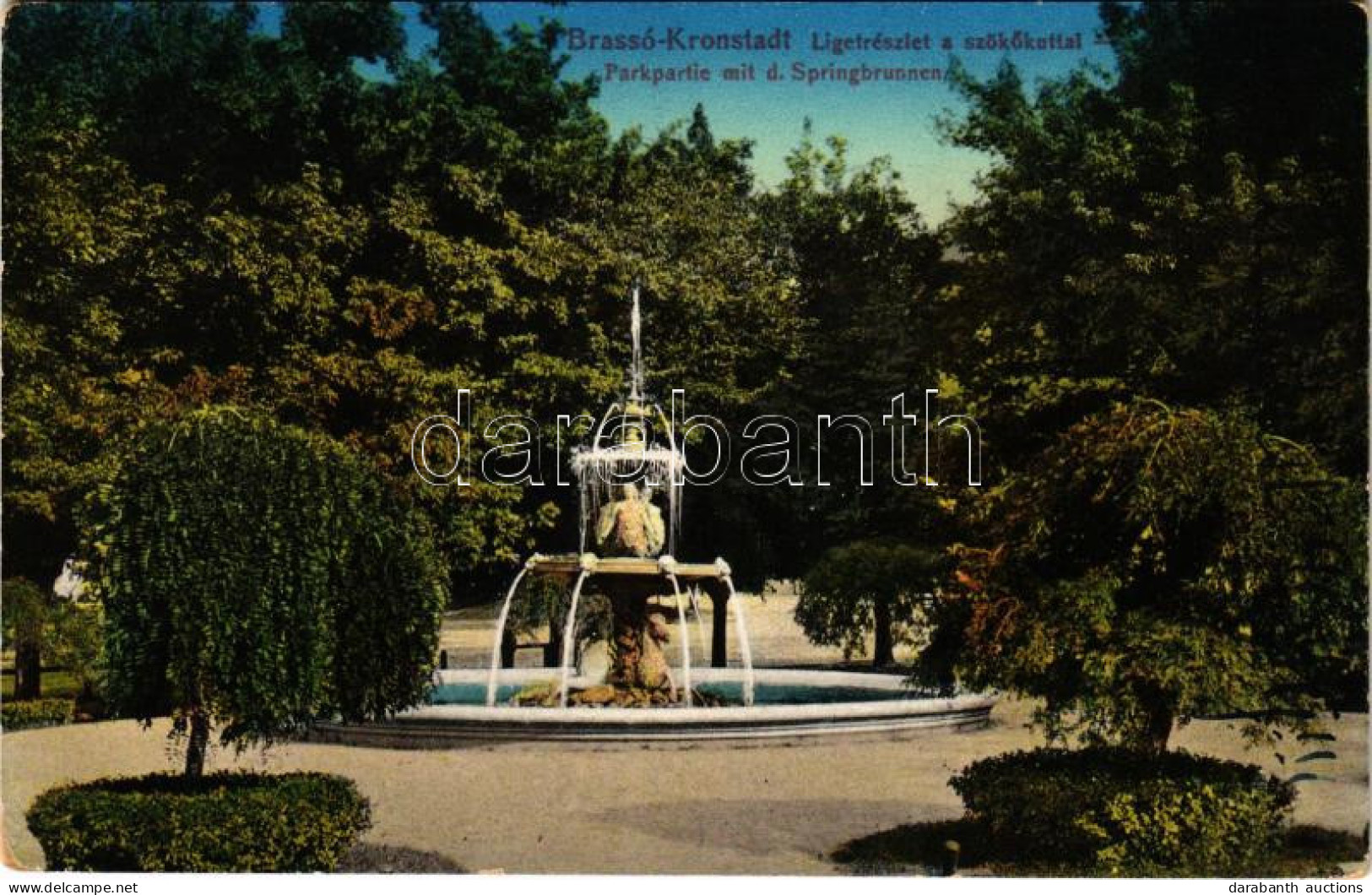 T2/T3 1914 Brassó, Kronstadt, Brasov; Liget, Szökőkút / Park, Fountain (EK) - Non Classificati