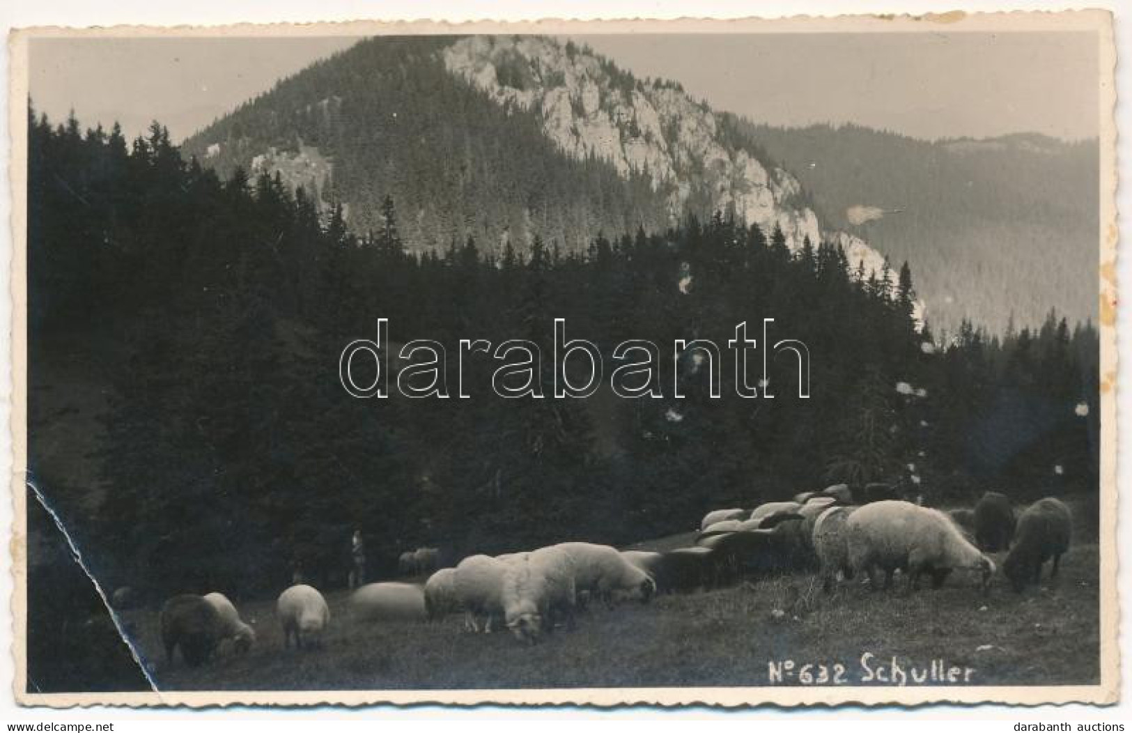 * T3 1937 Brassó, Kronstadt, Brasov; Schuler / Postavaru / Keresztényhavas, Birkanyáj / Mountain, Flock Of Sheep. Foto A - Non Classificati