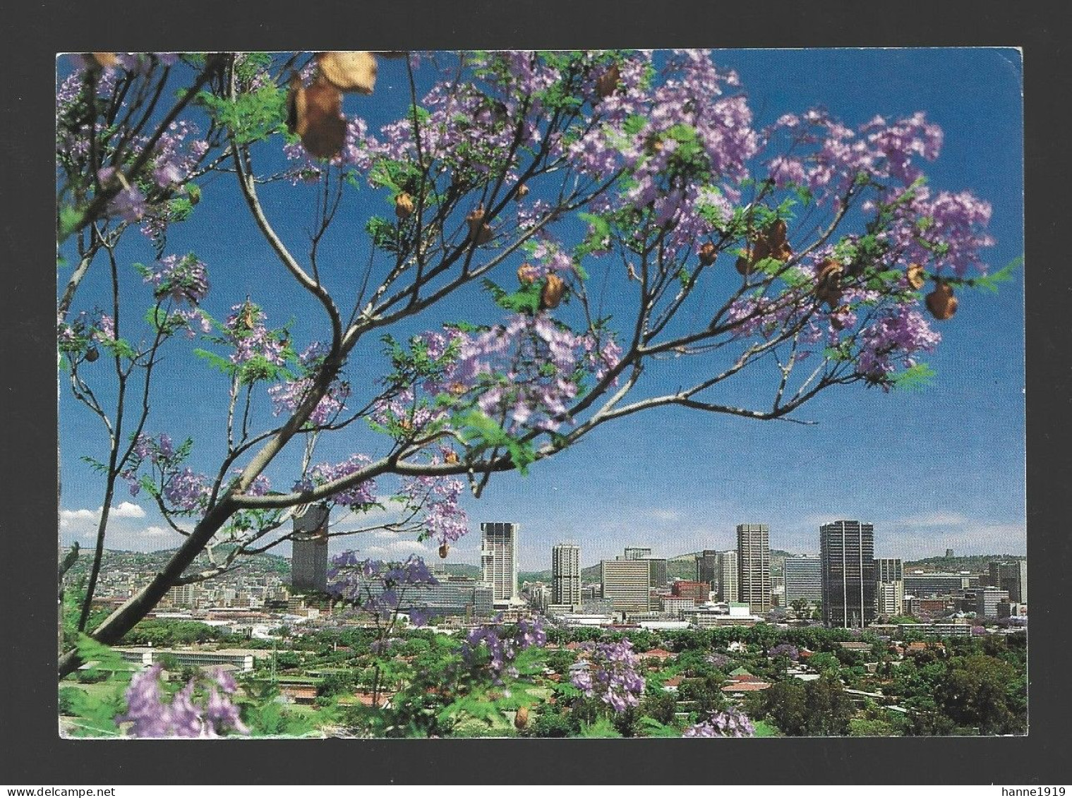 Jacarandas City Photo Card Pretoria South Africa Htje - Sudáfrica