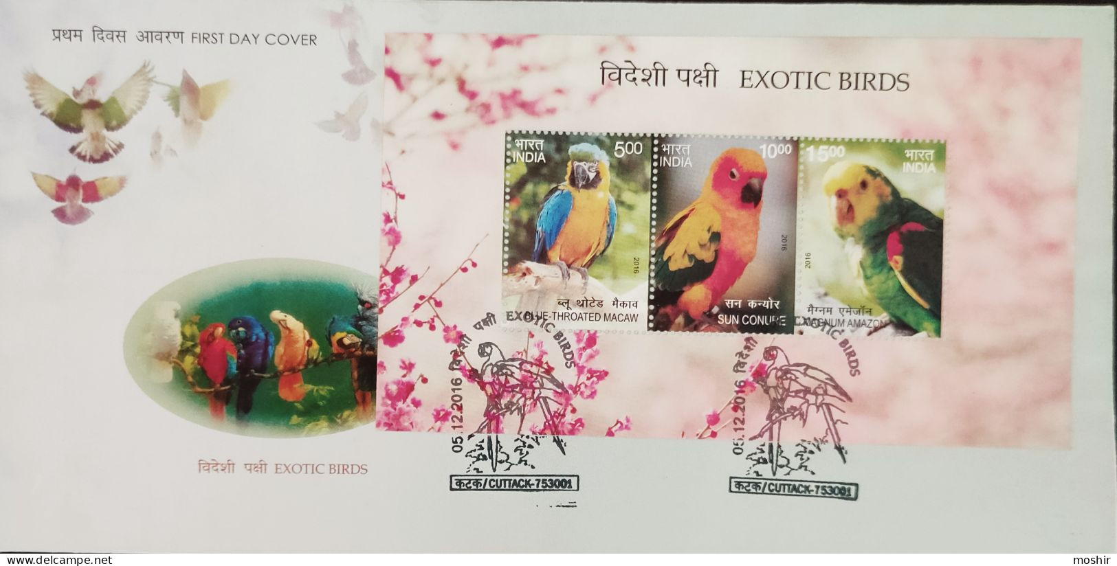 PARROTS - EXOTIC BIRDS - MACAW - BLUE THROATED MACAW - SUN CONURE - MAGNUM AMAZON - FDC - INDIA - 2016 - Papegaaien, Parkieten