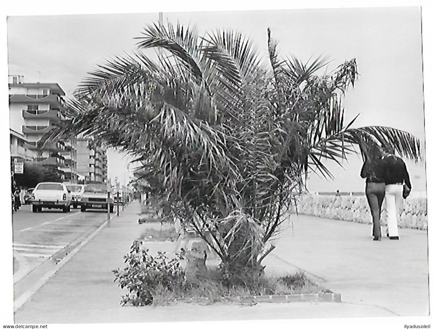 Canet Plage  Grande  Photo De Presse  Format :24 X 17.5 Cm - Canet Plage