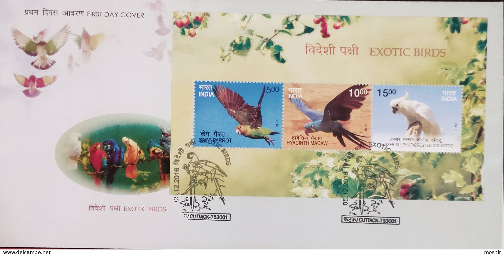 PARROTS - EXOTIC BIRDS - MACAW - CAPE PARROT - HYACINTH MACAW - LESSER SULPHUR-CRESTE  - FDC - INDIA - 2016 - Papagayos