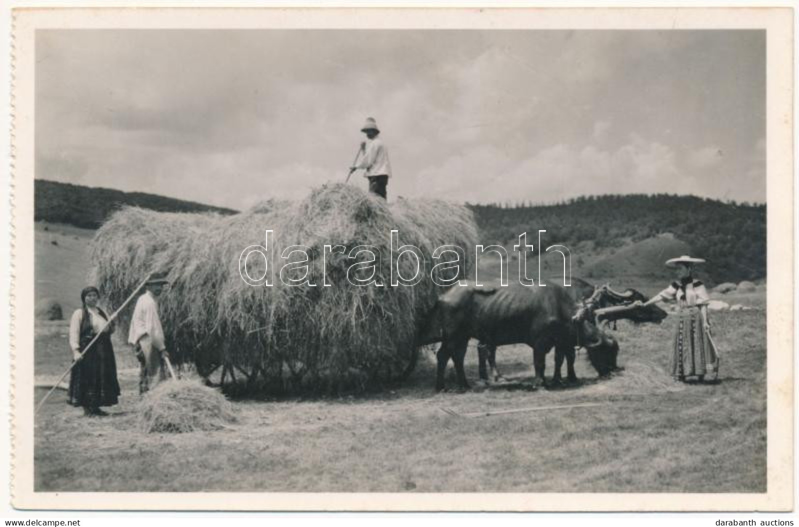 * T2/T3 Magyarvista, Vista, Vistea; Szénagyűjtés, Erdélyi Folklór. Lepage Lajos Kiadása / Transylvanian Folklore, Collec - Unclassified