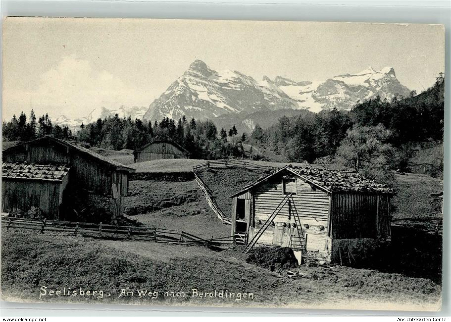 10592905 - Seelisberg - Autres & Non Classés