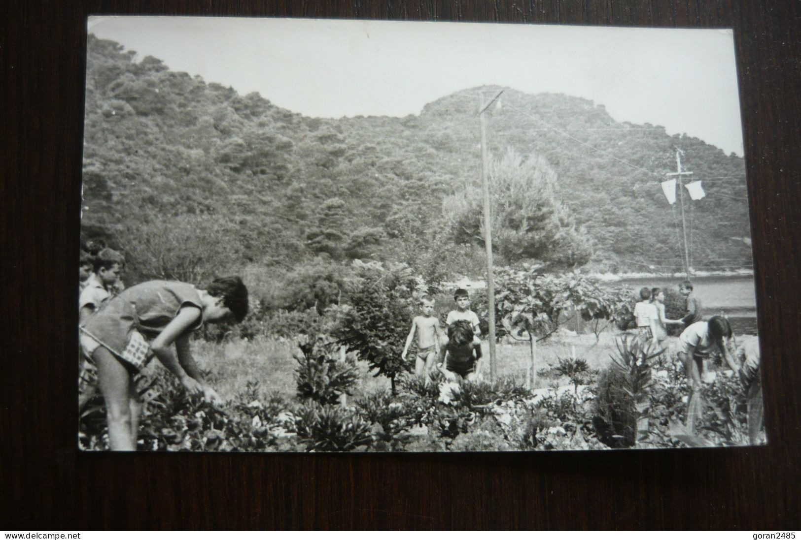 Croatia, Sipanska Luka, Dubrovnik, Deca Sade Cvece, Us. 1966 - Kroatië