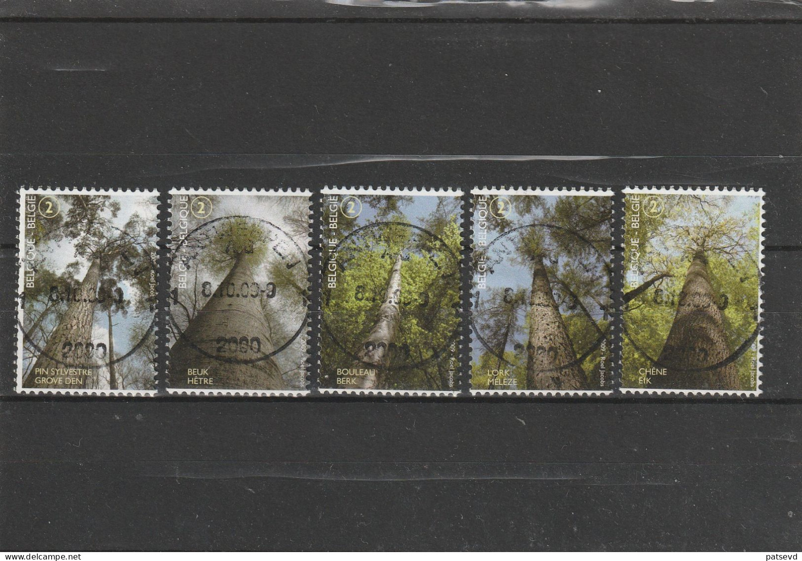 3951/3955 Les Arbres De La Forét / Zonienwoud Oblit/gestp Centrale - Used Stamps