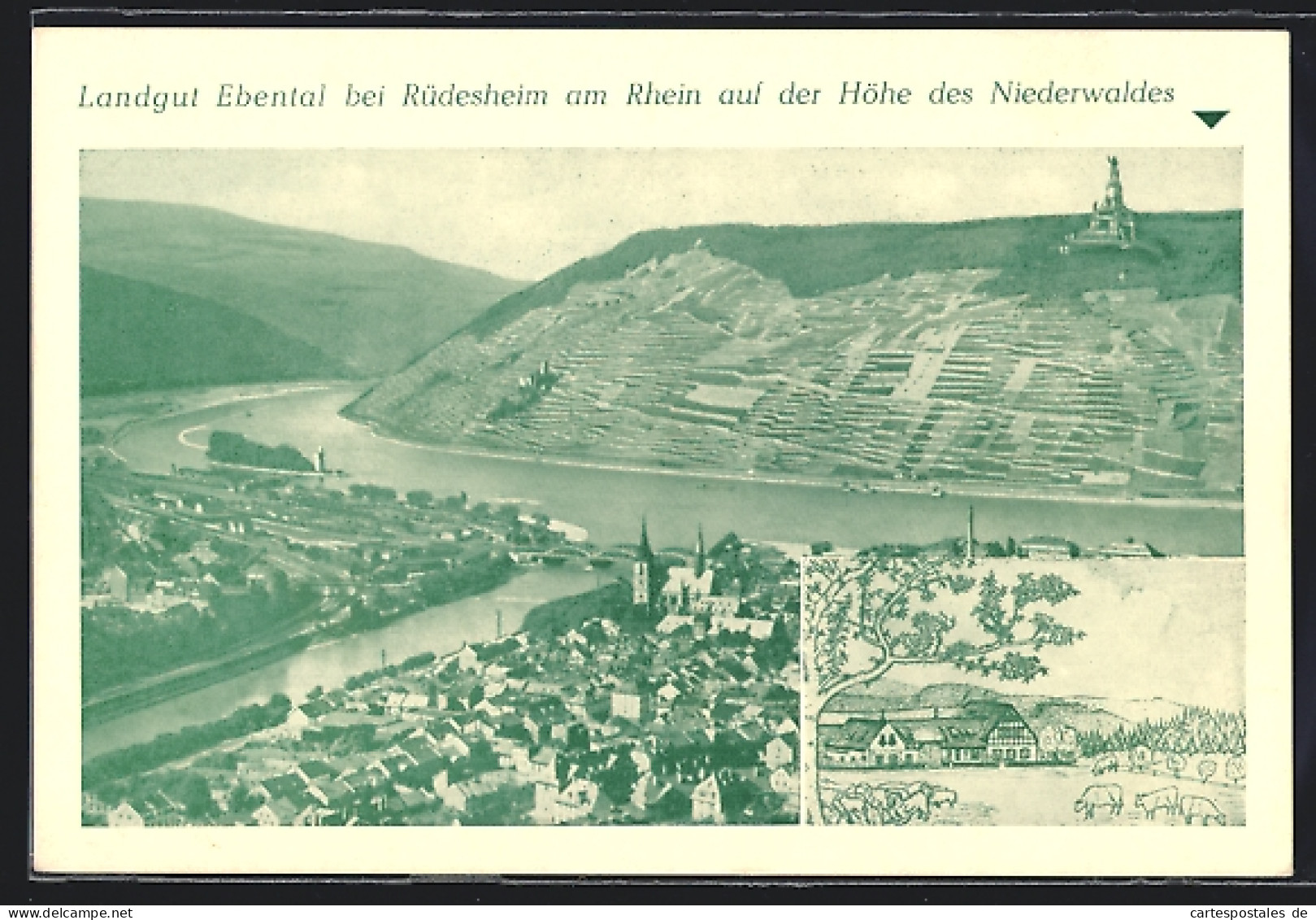 AK Rüdesheim Am Rhein, Landgut Ebental, Bes. Wilhelm Bender  - Rüdesheim A. Rh.