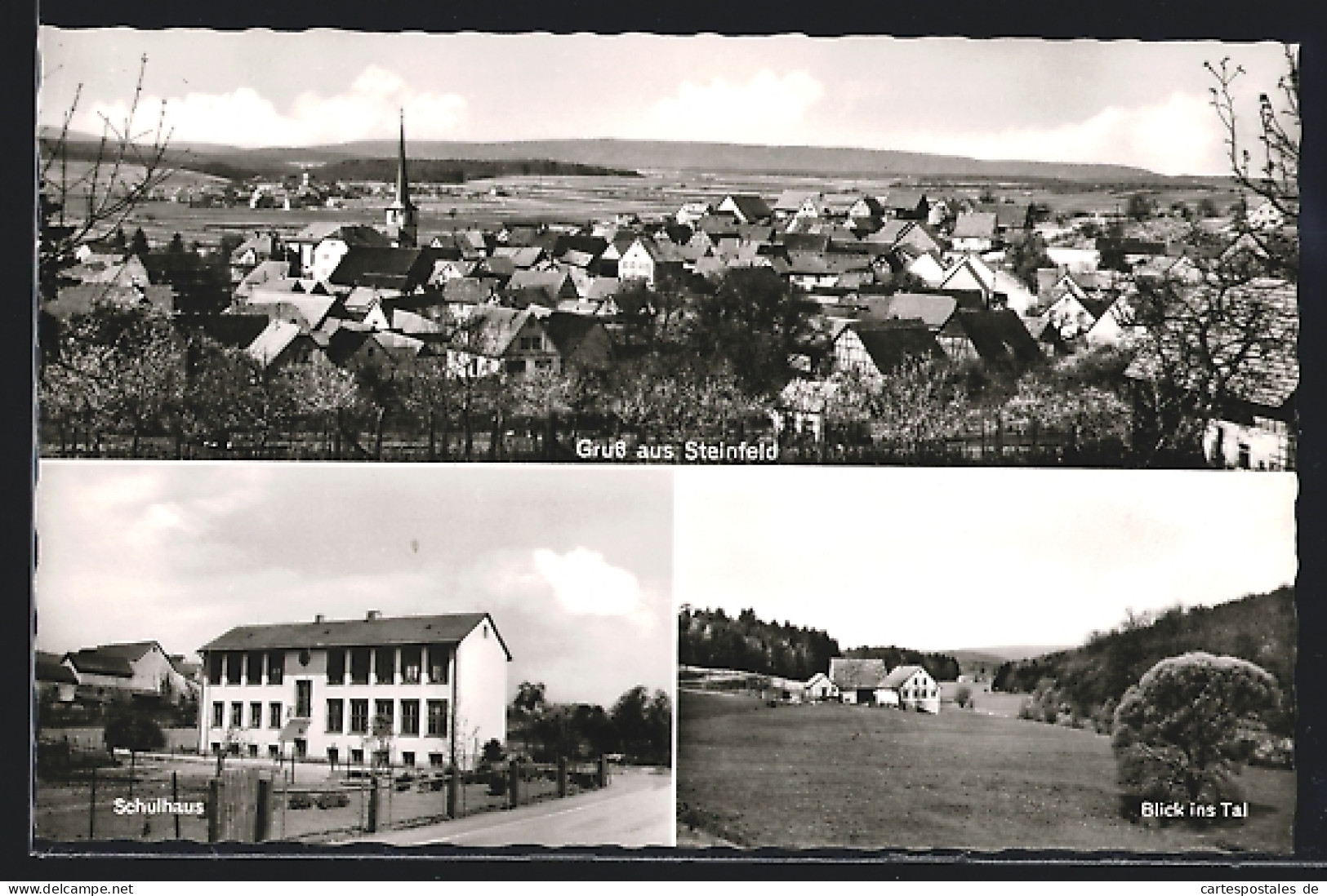AK Steinfeld / Lohr, Panorama, Schulhaus  - Lohr