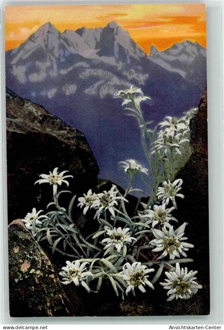 39414005 - Leontopodium Alpinum Alpenflora Serie 506 Nr.758 - Other & Unclassified