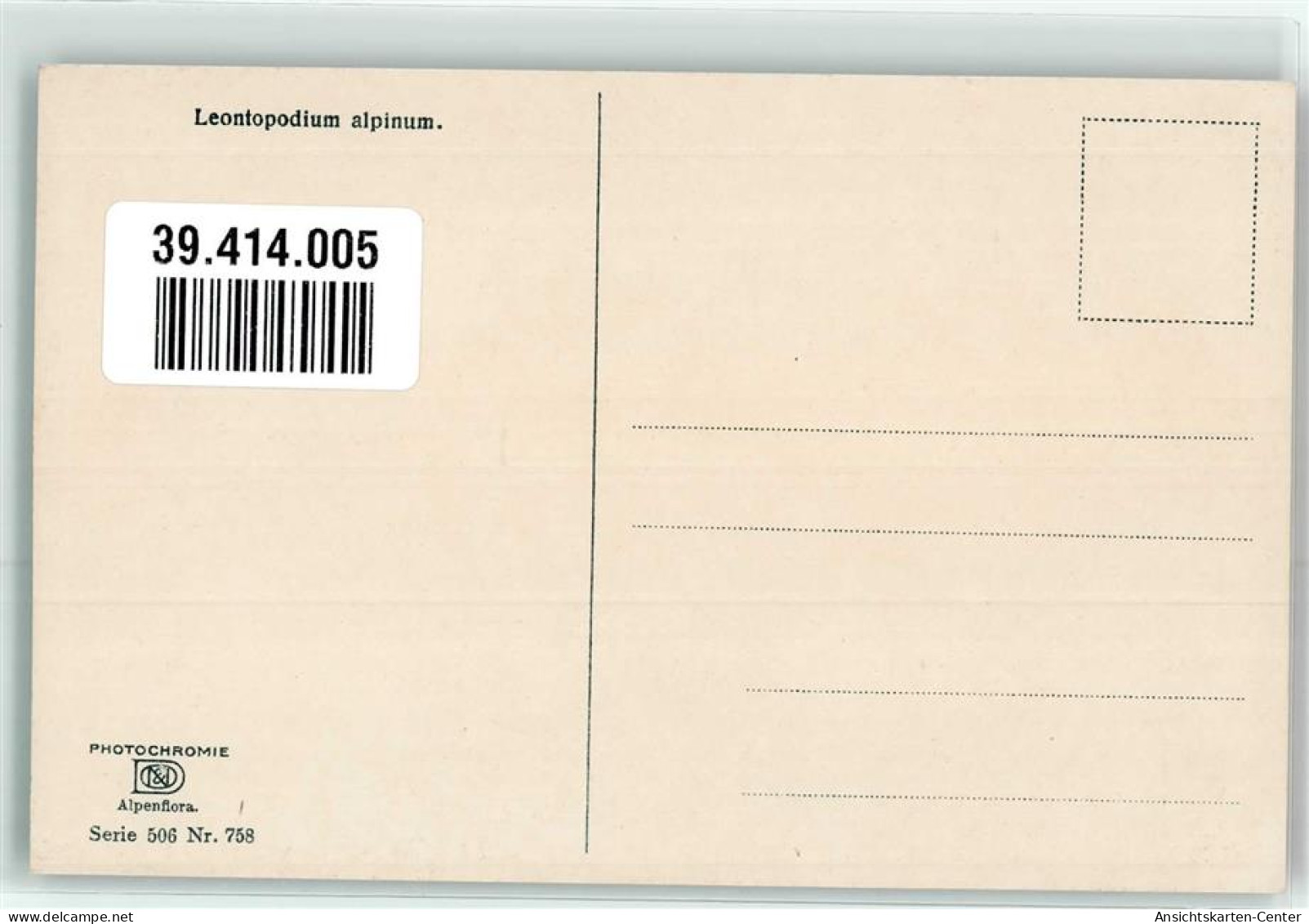 39414005 - Leontopodium Alpinum Alpenflora Serie 506 Nr.758 - Other & Unclassified