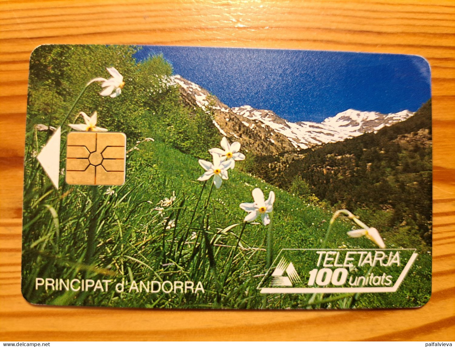 Phonecard Andorra - Flower, Narcissus - Andorre