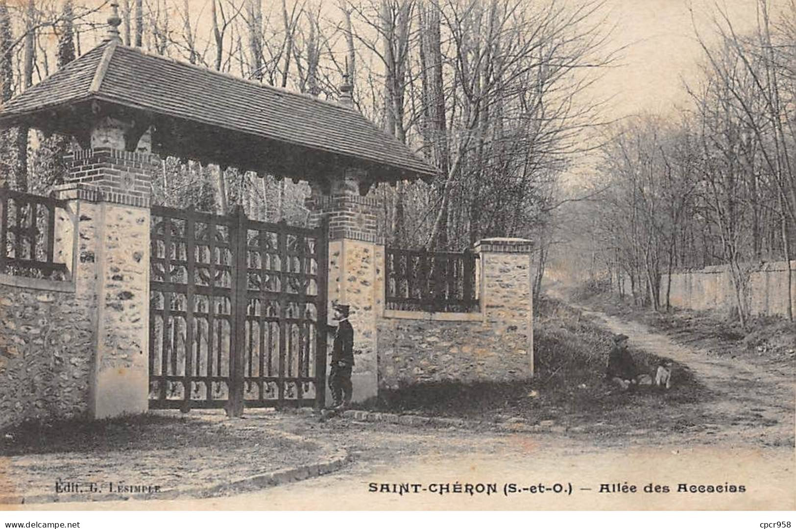 91 - SAINT CHERON - SAN45441 - Allée Des Acacias - Saint Cheron