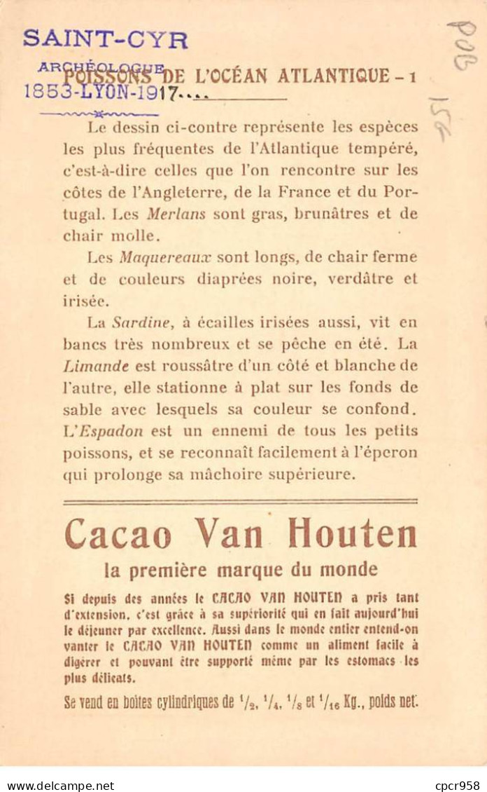 Publicité - N°85214 - Cacao Van Houten, Solubilisé En Poudre - Poissons De L'Océan Atlantique (1) - Publicité