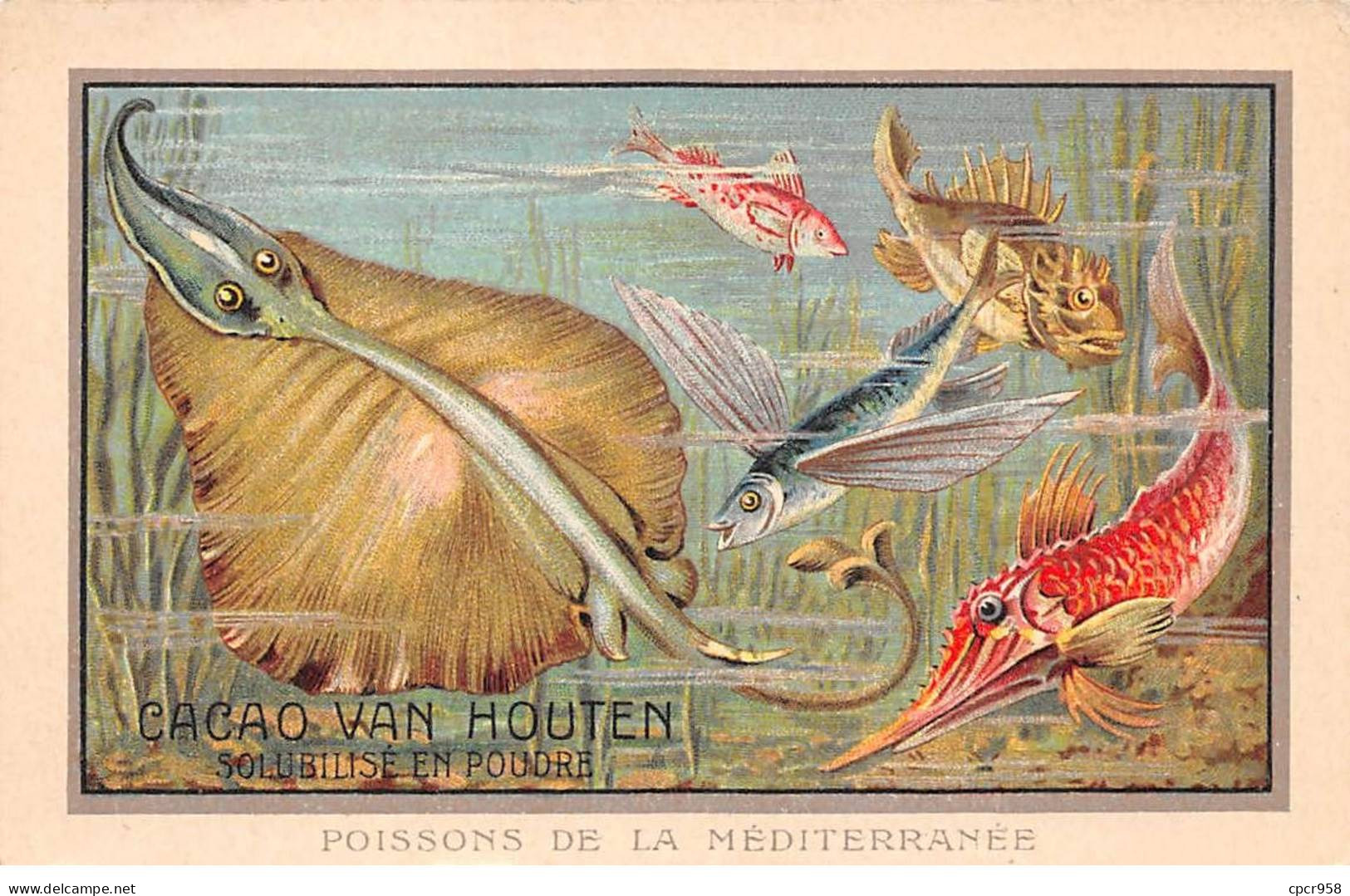 Publicité - N°85213 - Cacao Van Houten, Solubilisé En Poudre - Poissons De La Méditerranée - Werbepostkarten