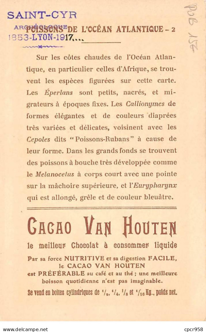 Publicité - N°85211 - Cacao Van Houten, Solubilisé En Poudre - Poissons De L'Océan Atlantique (2) - Werbepostkarten