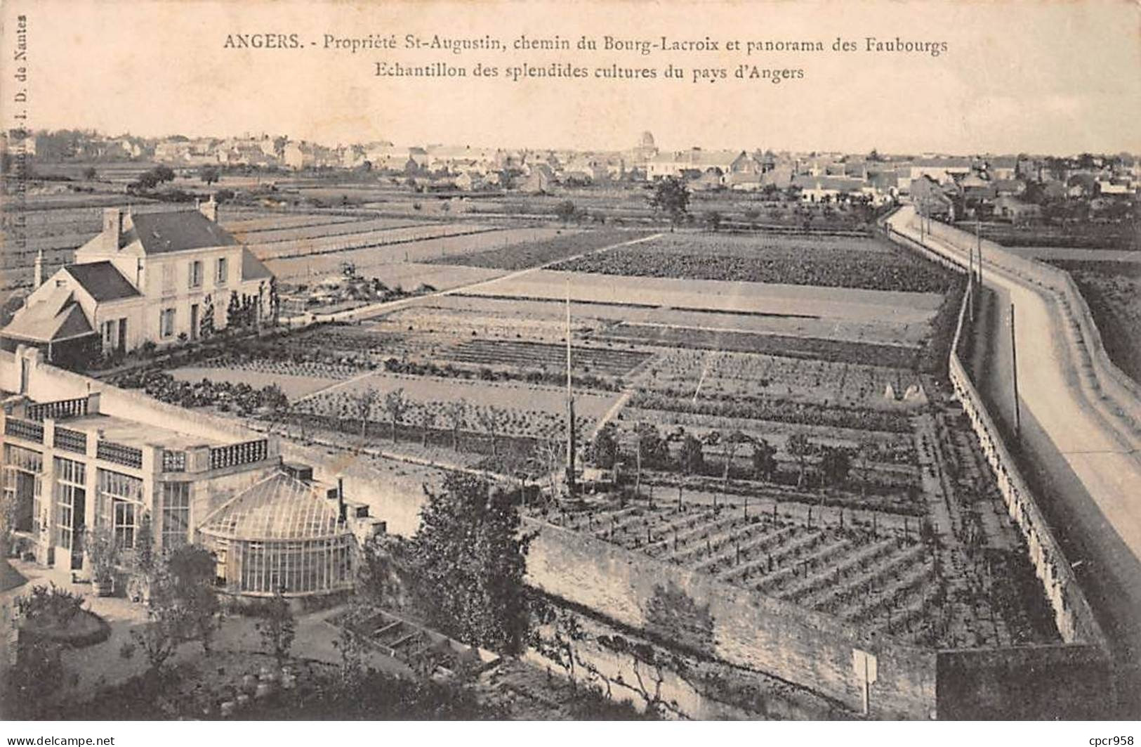 49-AM21966.Angers.Propriété St Augustin.chemin Du Bourg-Lacroix.Panorama Des Faubourgs.Cultures - Angers