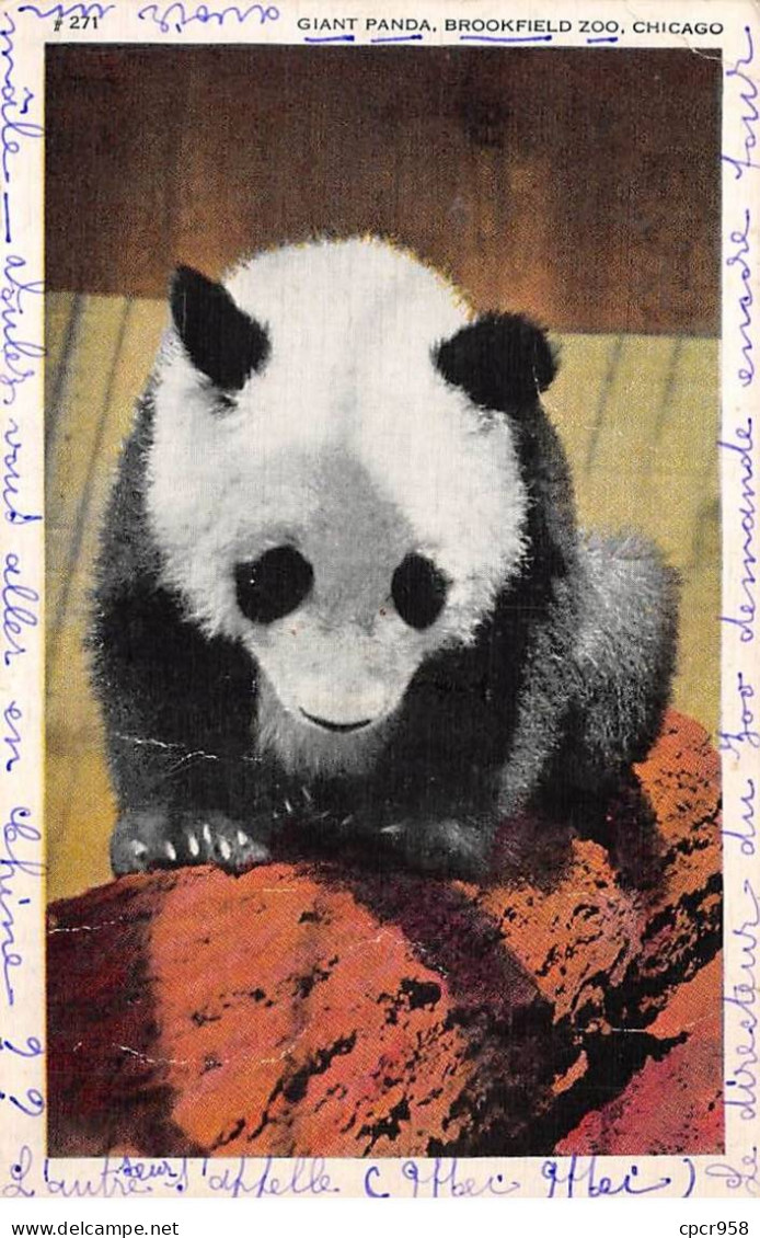 Animaux - N°85590 - Panda - Su-Lin, Giant Panda, Brookfield Zoo - Other & Unclassified