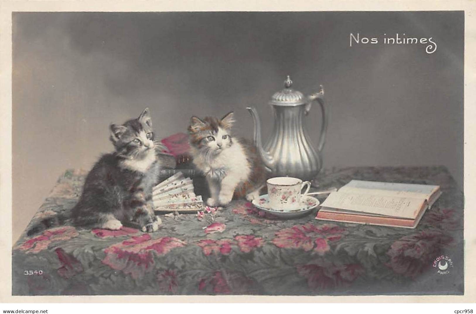 Animaux - N°85494 - Chat - Nos Intimes - Chatons Sur Une Table Près D'une Tasse Et D'un Livre - Cats