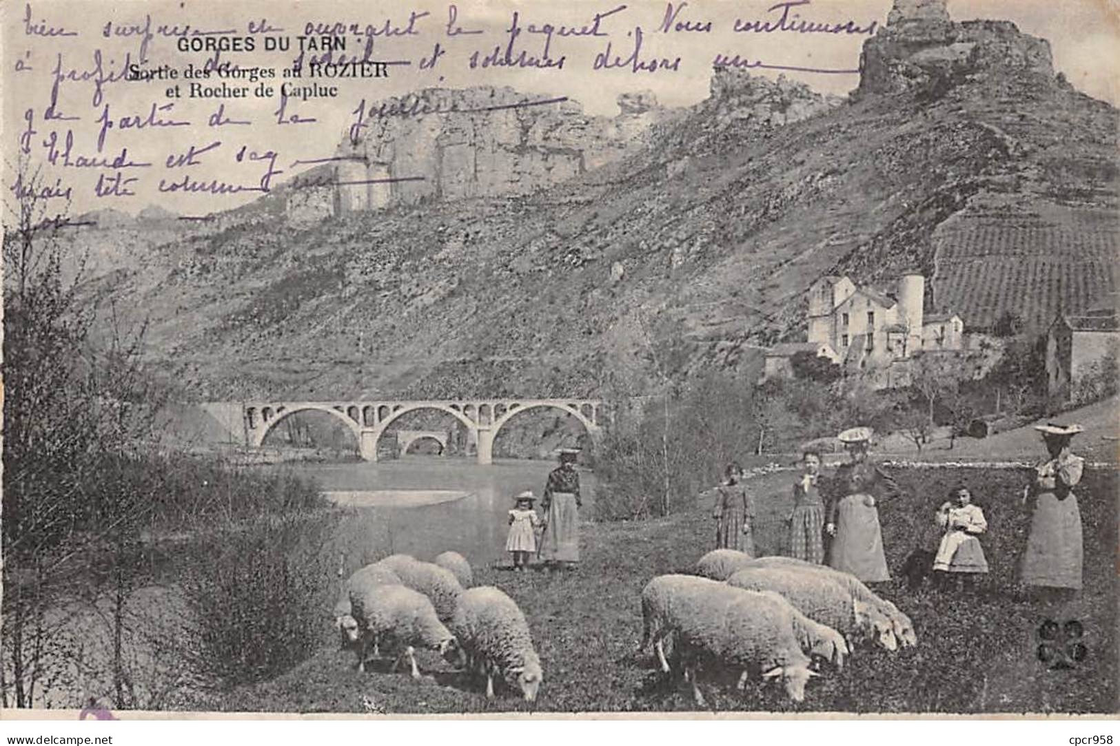 48-SAN59169-GORGES DU TARN.Sortie Des Gorges Au Rosier Et Rocher De Caplue.Agriculture - Gorges Du Tarn