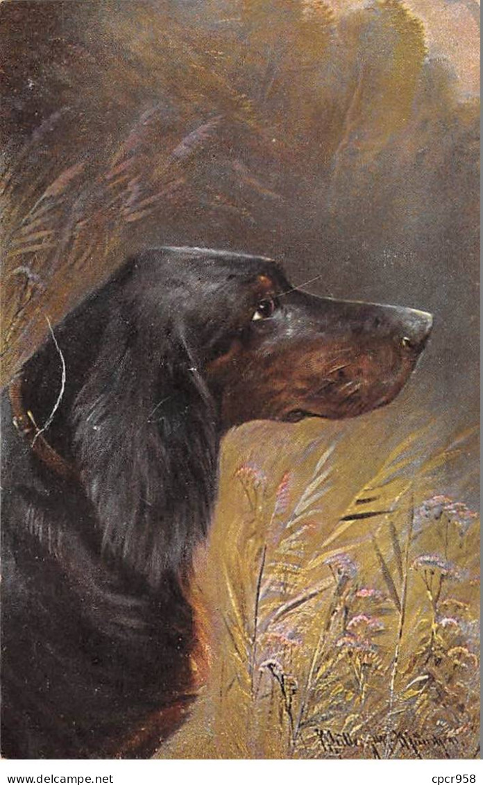 Animaux - N°85576 - Chien - A. Muller - Chien Dans Des Herbes - Cani
