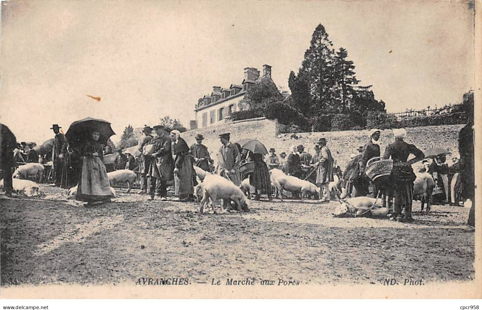 50-AM22104.Avranches.Le Marché Aux Porcs.Agriculture - Avranches