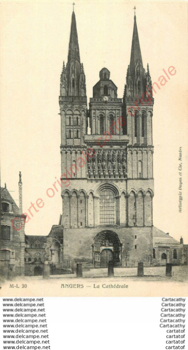 49.  ANGERS .  La Cathédrale . - Angers