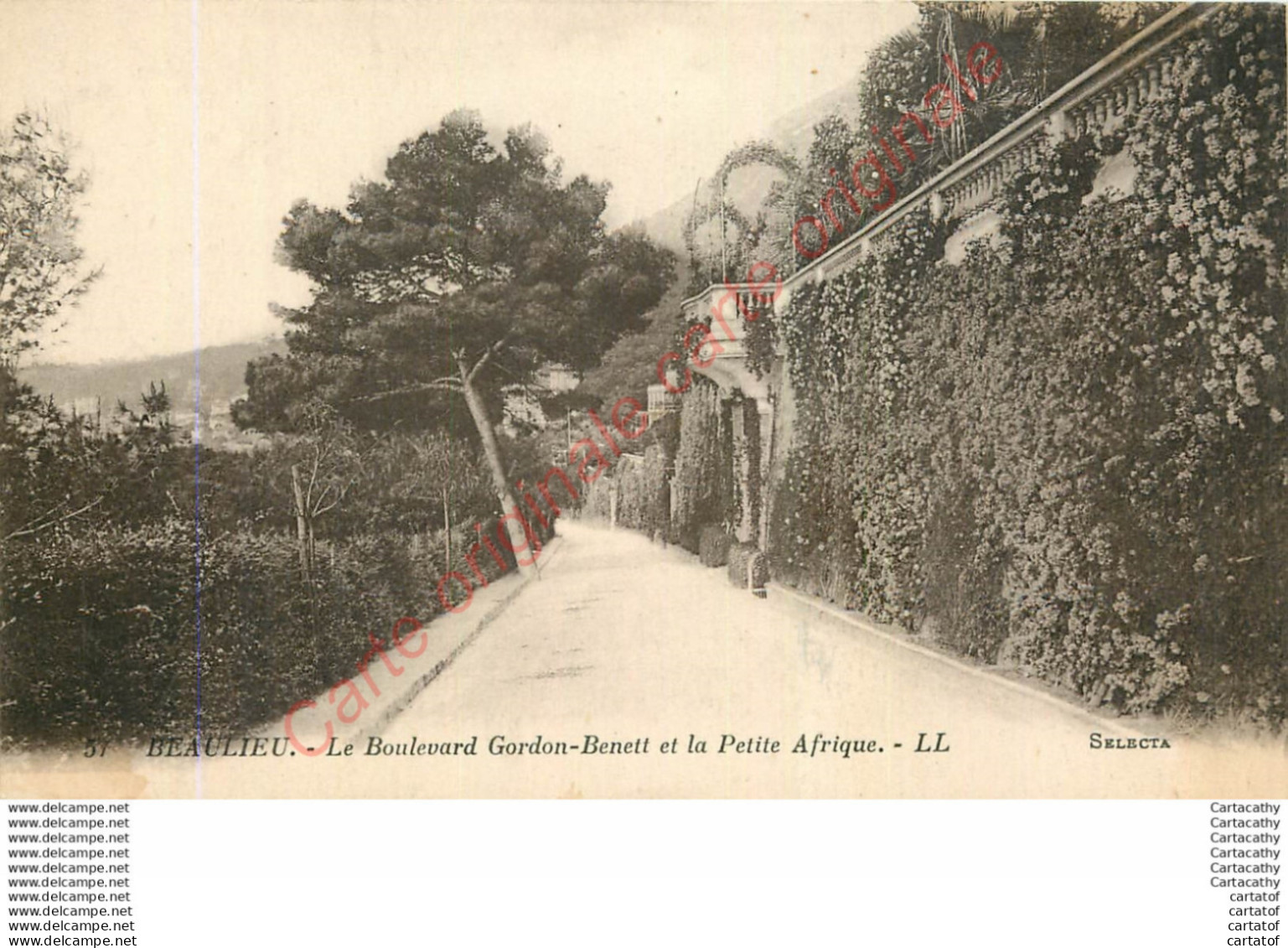 06.  BEAULIEU . Le Boulevard Gordon Benett Et La Petite Afrique . - Beaulieu-sur-Mer