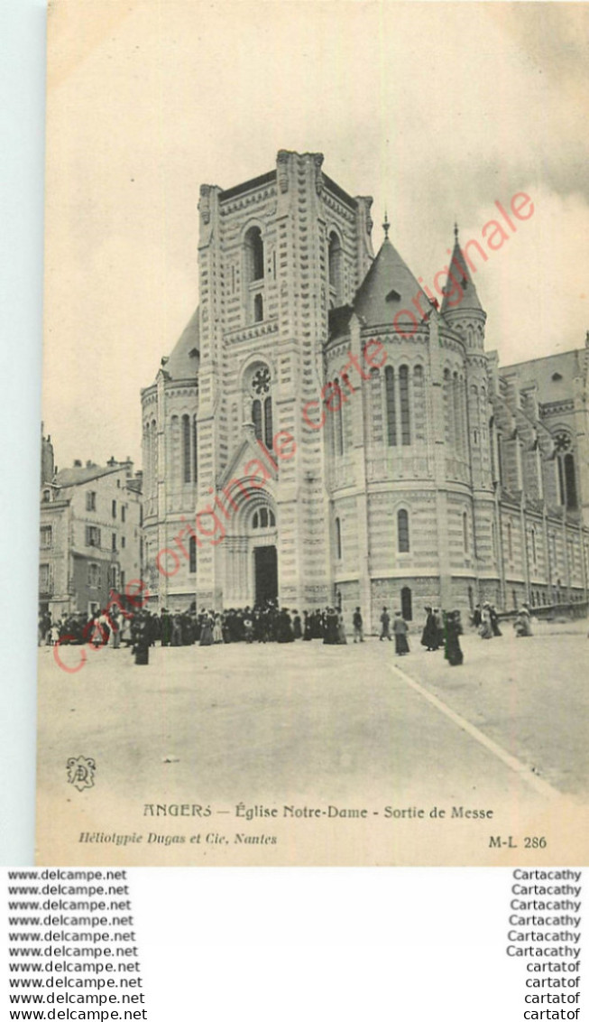 49.  ANGERS .  Eglise Notre Dame ; Sortie De Messe . - Angers