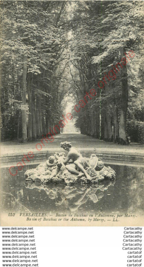 78. VERSAILLES .  Bassin De Bacchus . - Versailles