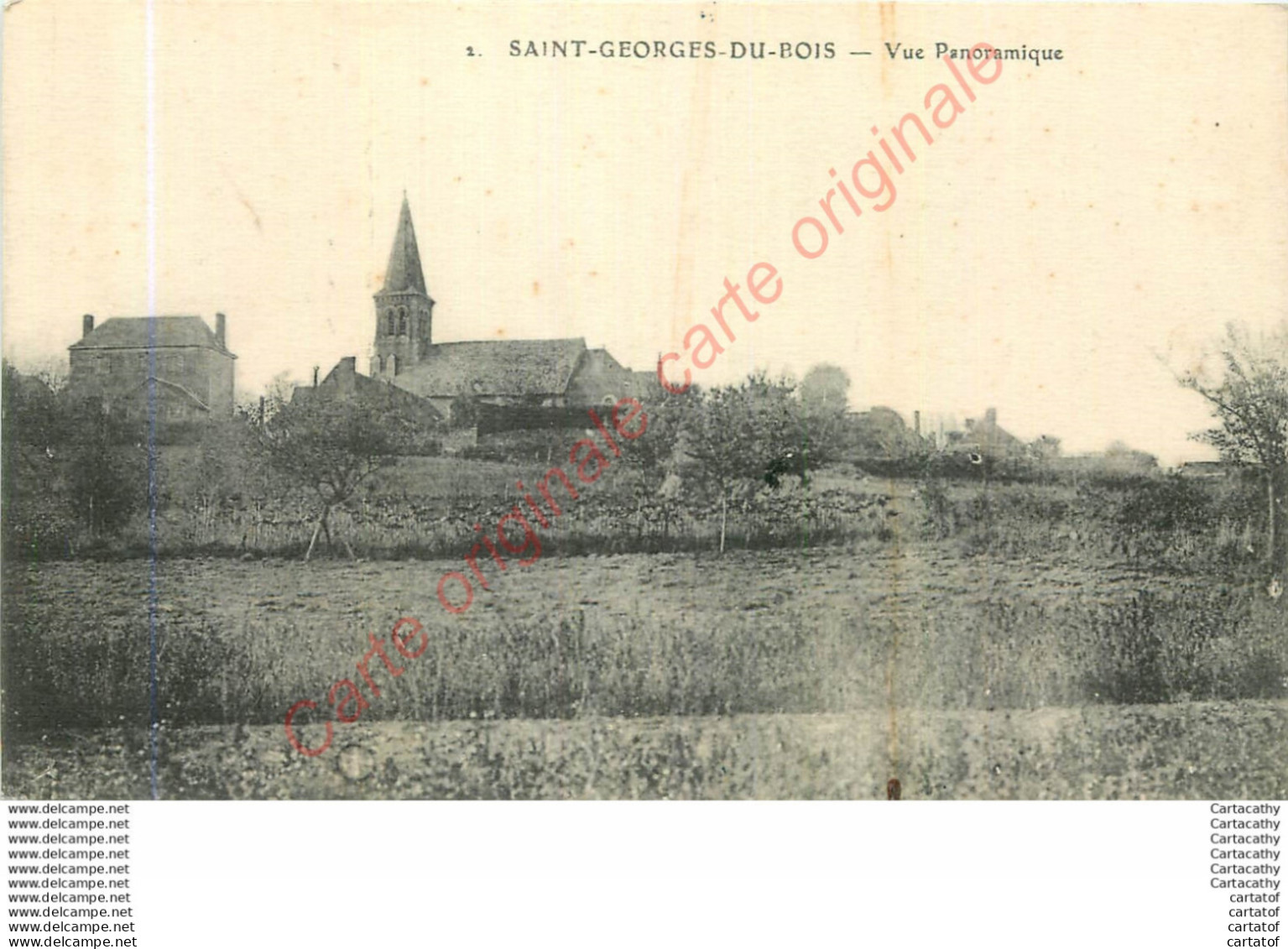 72.  SAINT GEORGES DU BOIS .  Vue Panoramique . - Autres & Non Classés