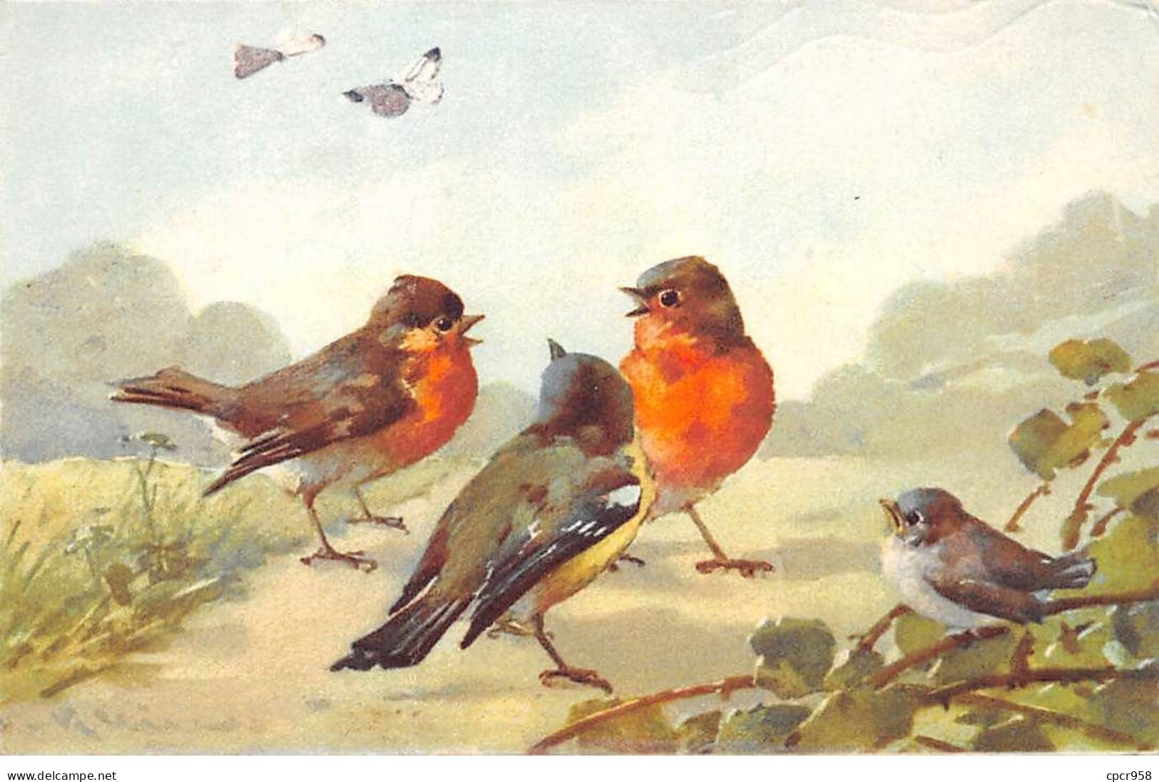 Illustrateur - N°86152 - C. Klein - Oiseaux Regardant Des Papillons - Carte Pliée Vendue En L'état - Klein, Catharina