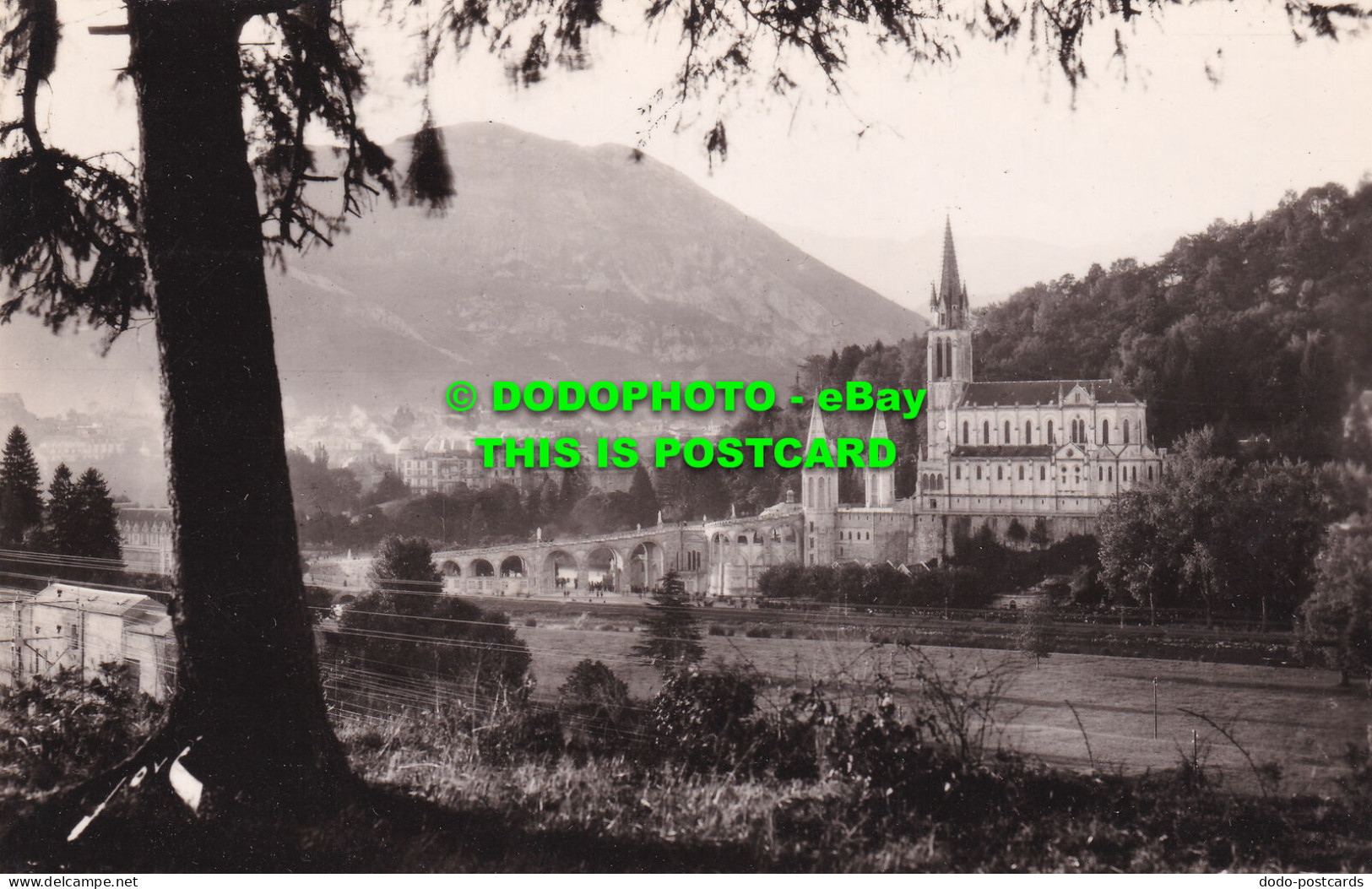 R504014 422. Lourdes. H. P. La Basilique Et Le Pic Du Jer. Jove. 1956 - Welt