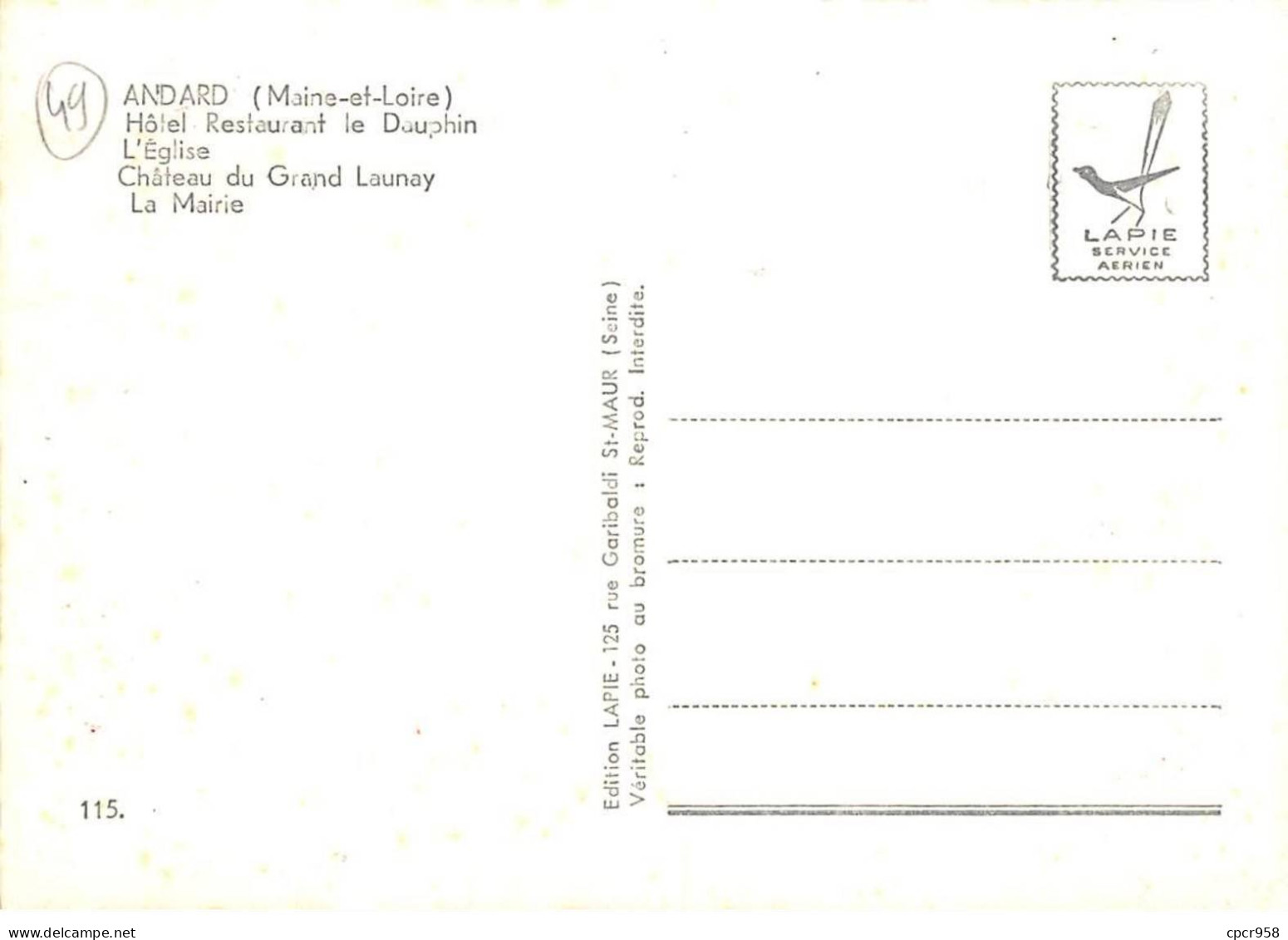 49 - SAN61605 - ANDARD - Hôtel Restaurant Le Dauphin - L'Eglise - Château Du Grand Launay - La Mairie - CPSM 10x15 Cm - Other & Unclassified