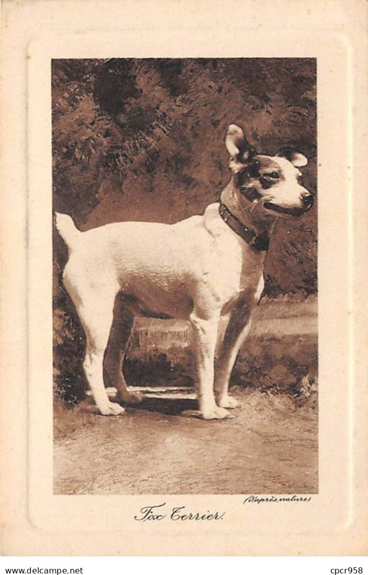 Animaux - N°86740 - Chiens - Fox Terrier - Cani