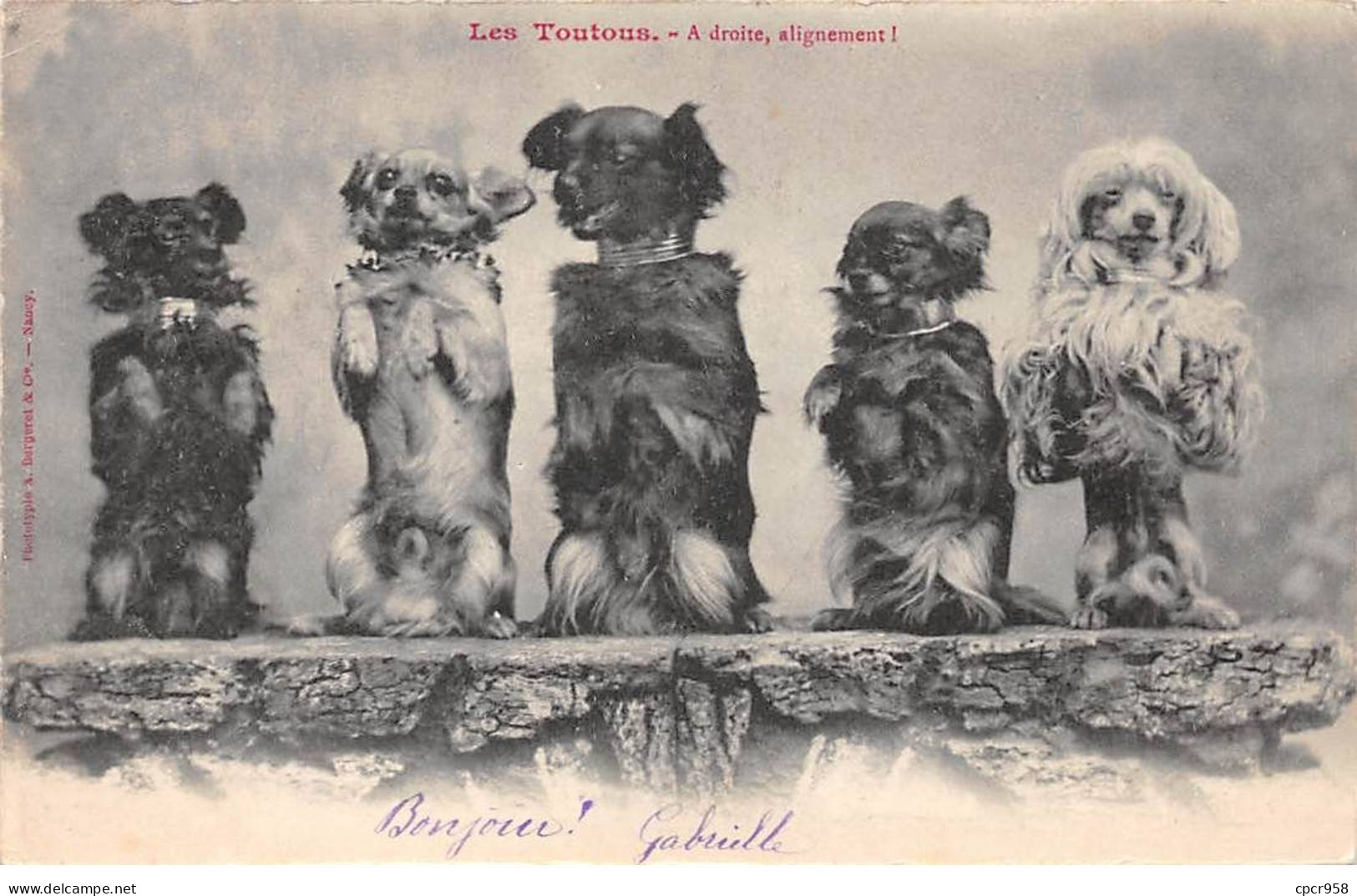 Animaux - N°86739 - Chiens - Les Toutous - A Droite, Alignement - Dogs