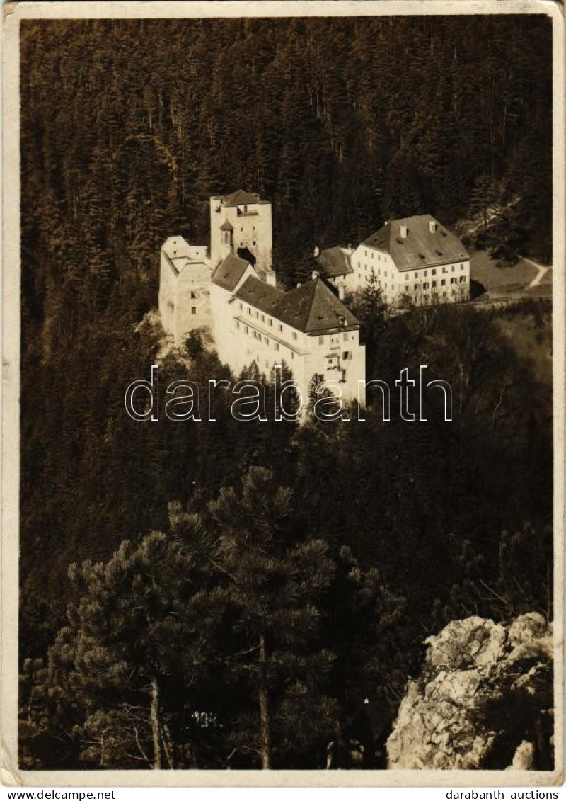 T2/T3 1928 Ternitz, Schloss Stixenstein / Castle, Photo (EK) - Sin Clasificación