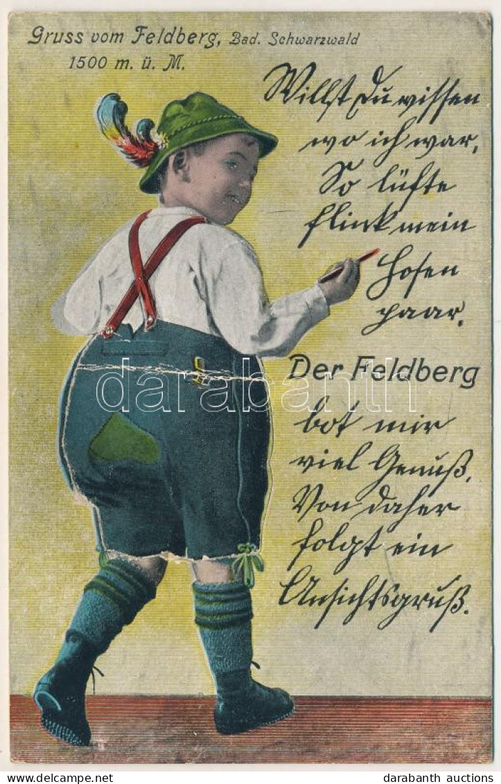 * T3/T4 Feldberg (Bad. Schwarzwald), Leporellocard With 10 Pictures, German Folklore (Rb) - Zonder Classificatie