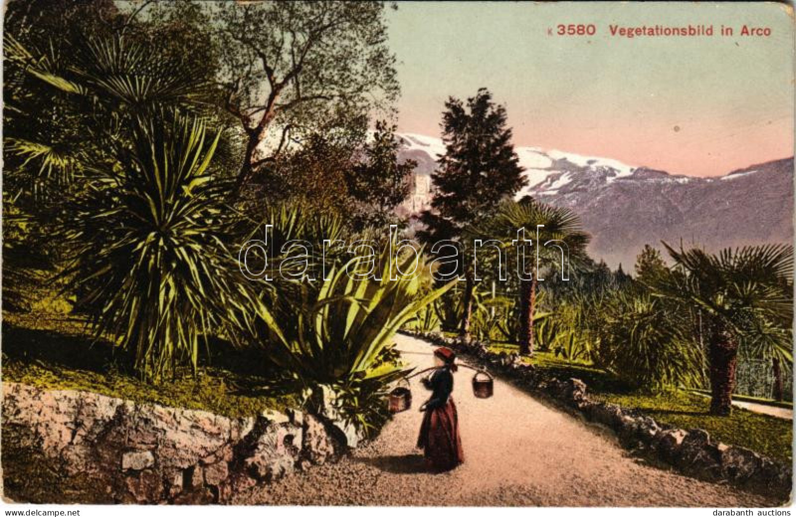 * T2/T3 1913 Arco (Südtirol), Vegetationsbild (EK) - Ohne Zuordnung